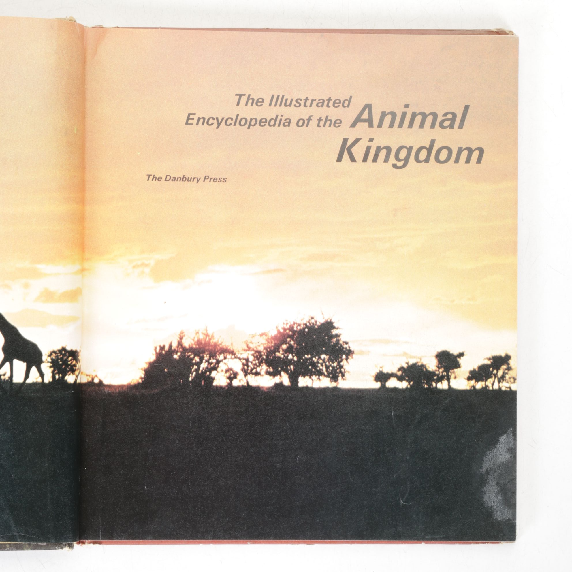 "Our Amazing World of Nature" with Other Nature & Health Books