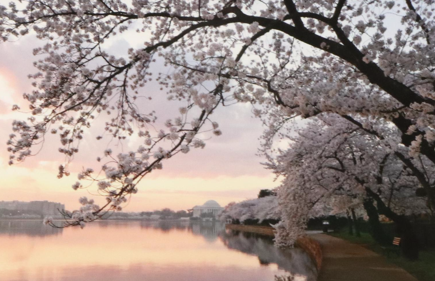 Peter Tomlinson Photograph "Thomas Jefferson Memorial" and Other Photograph