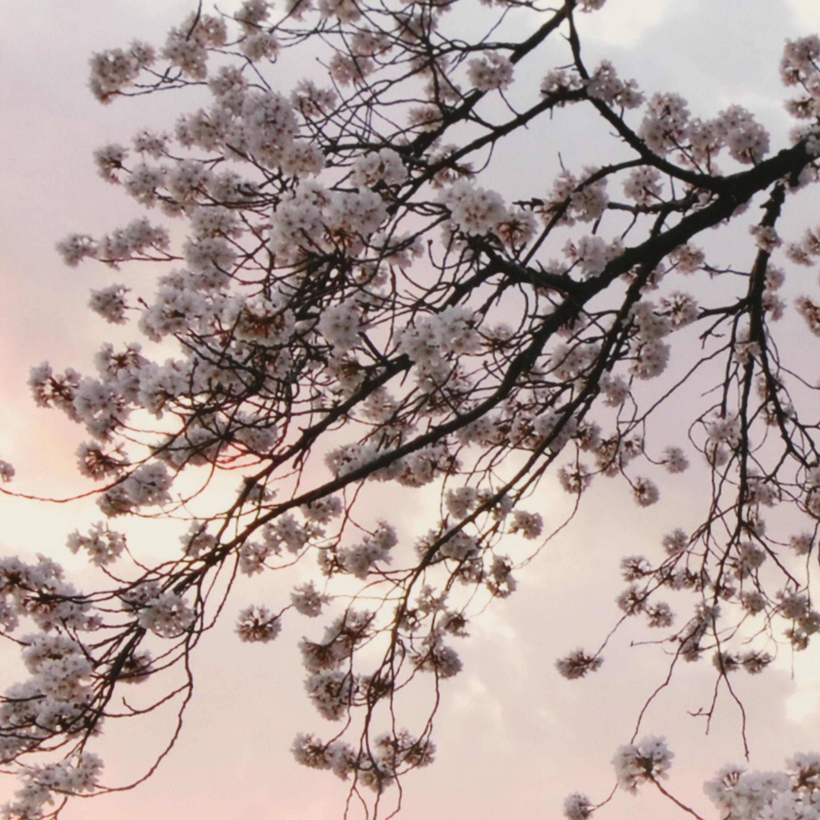 Peter Tomlinson Photograph "Thomas Jefferson Memorial" and Other Photograph
