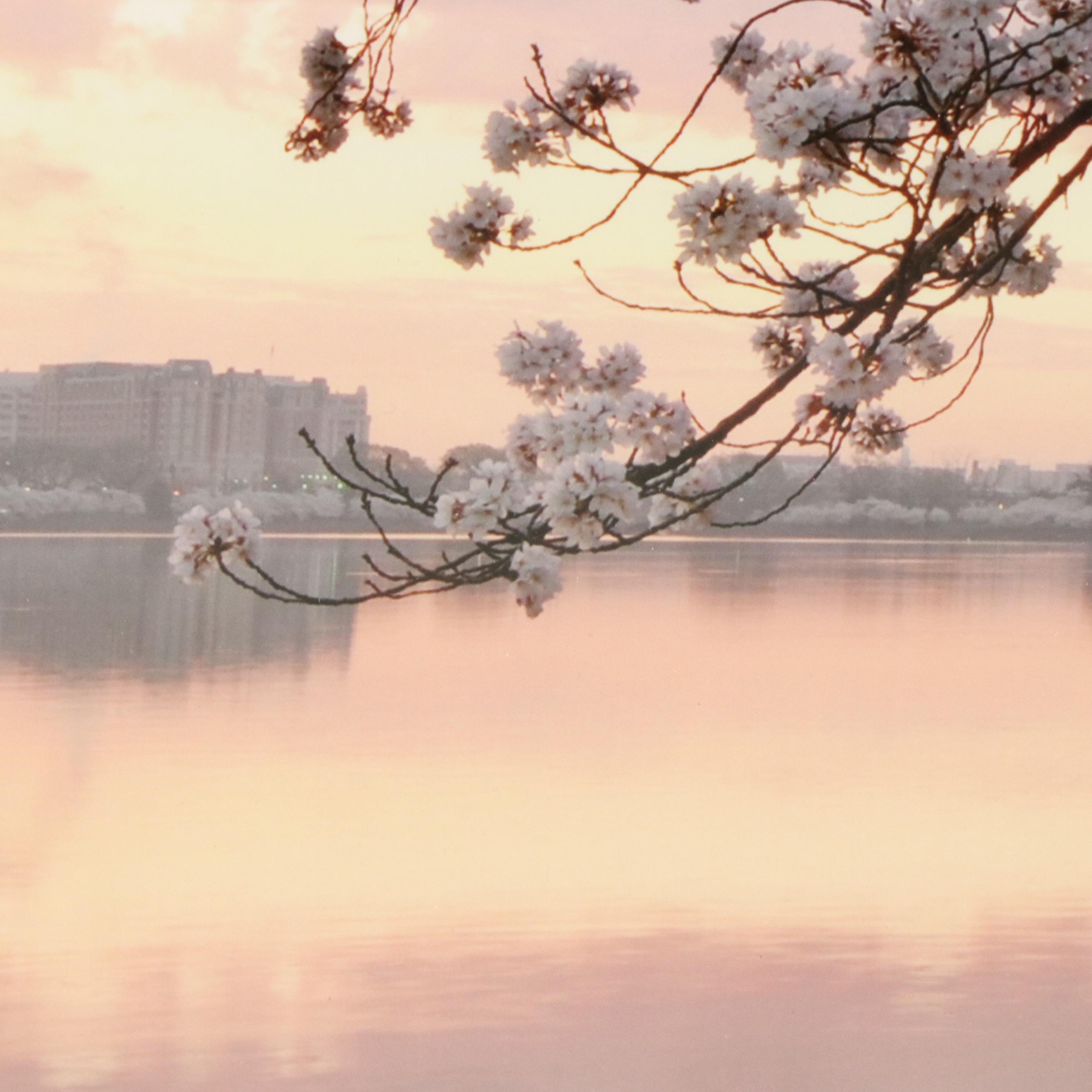 Peter Tomlinson Photograph "Thomas Jefferson Memorial" and Other Photograph