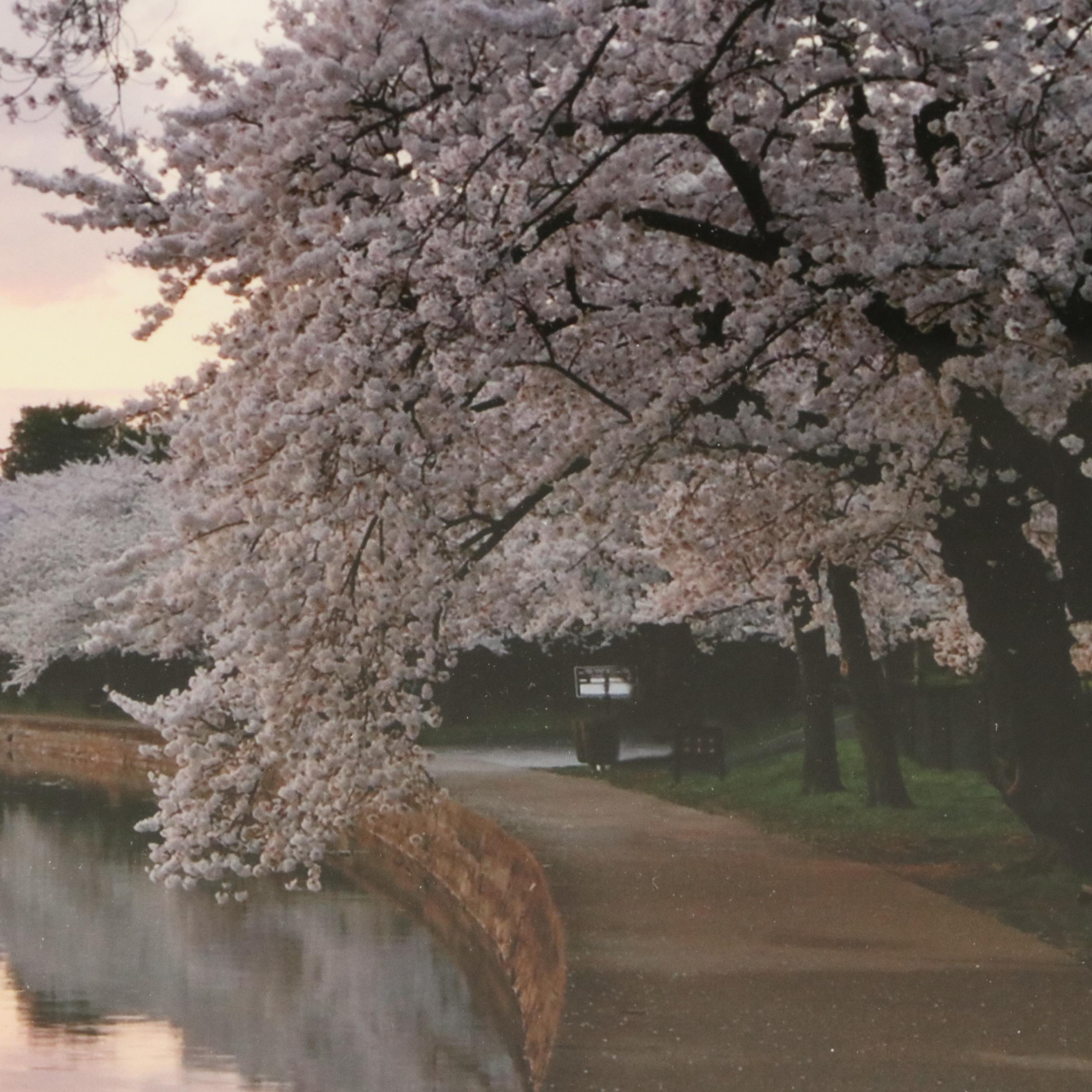 Peter Tomlinson Photograph "Thomas Jefferson Memorial" and Other Photograph