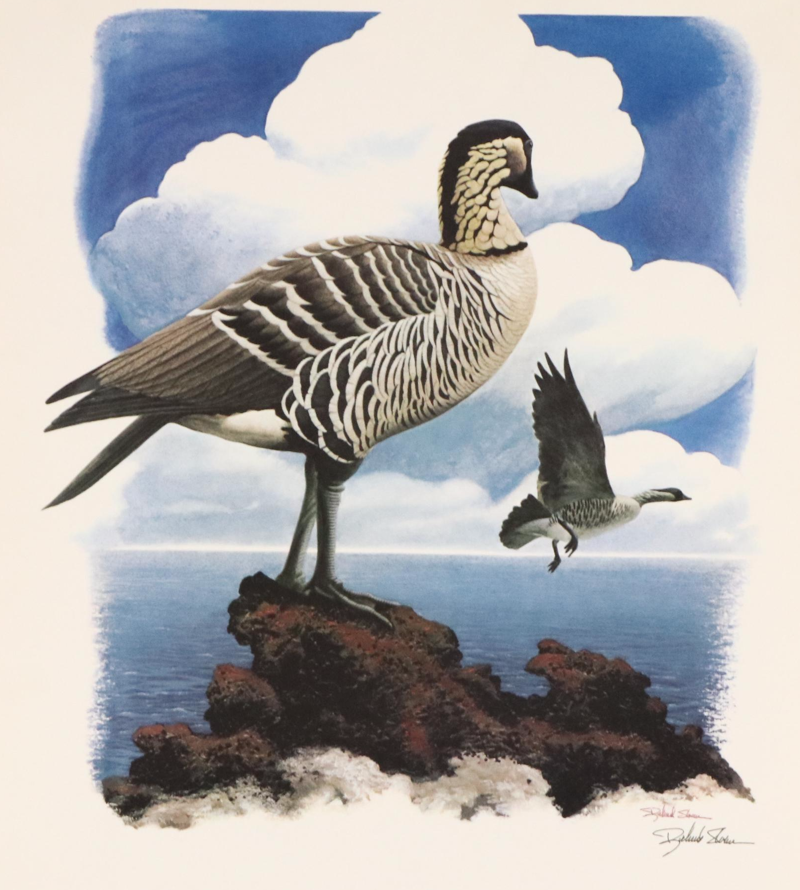 Richard Sloan Offset Lithograph "Nene," Circa 1976