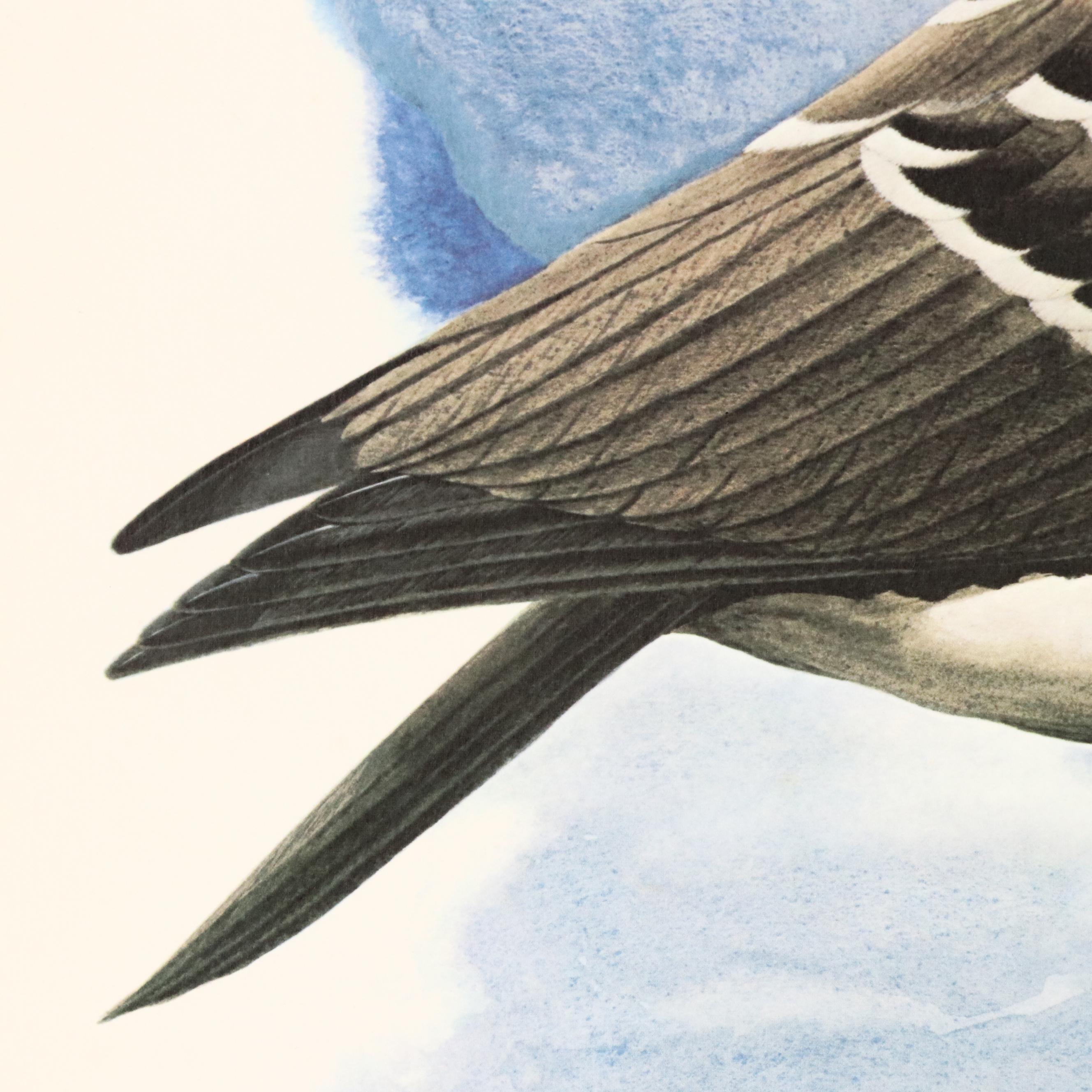 Richard Sloan Offset Lithograph "Nene," Circa 1976