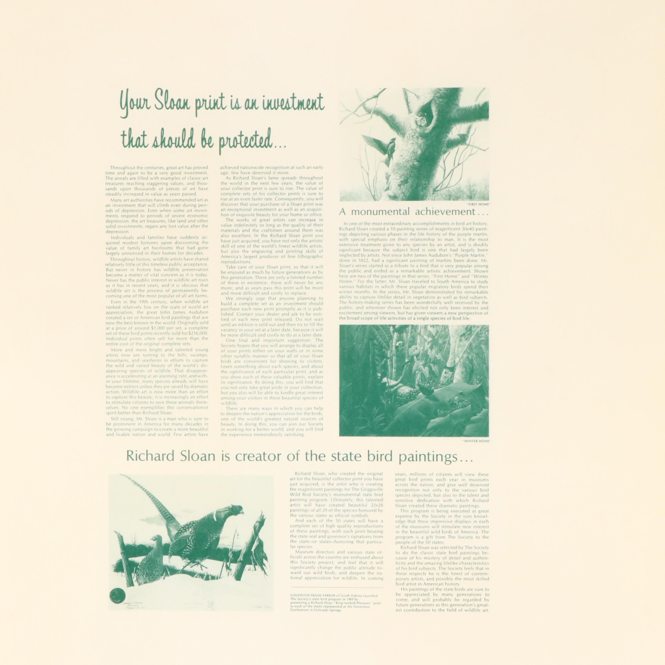 Richard Sloan Offset Lithograph "Nene," Circa 1976