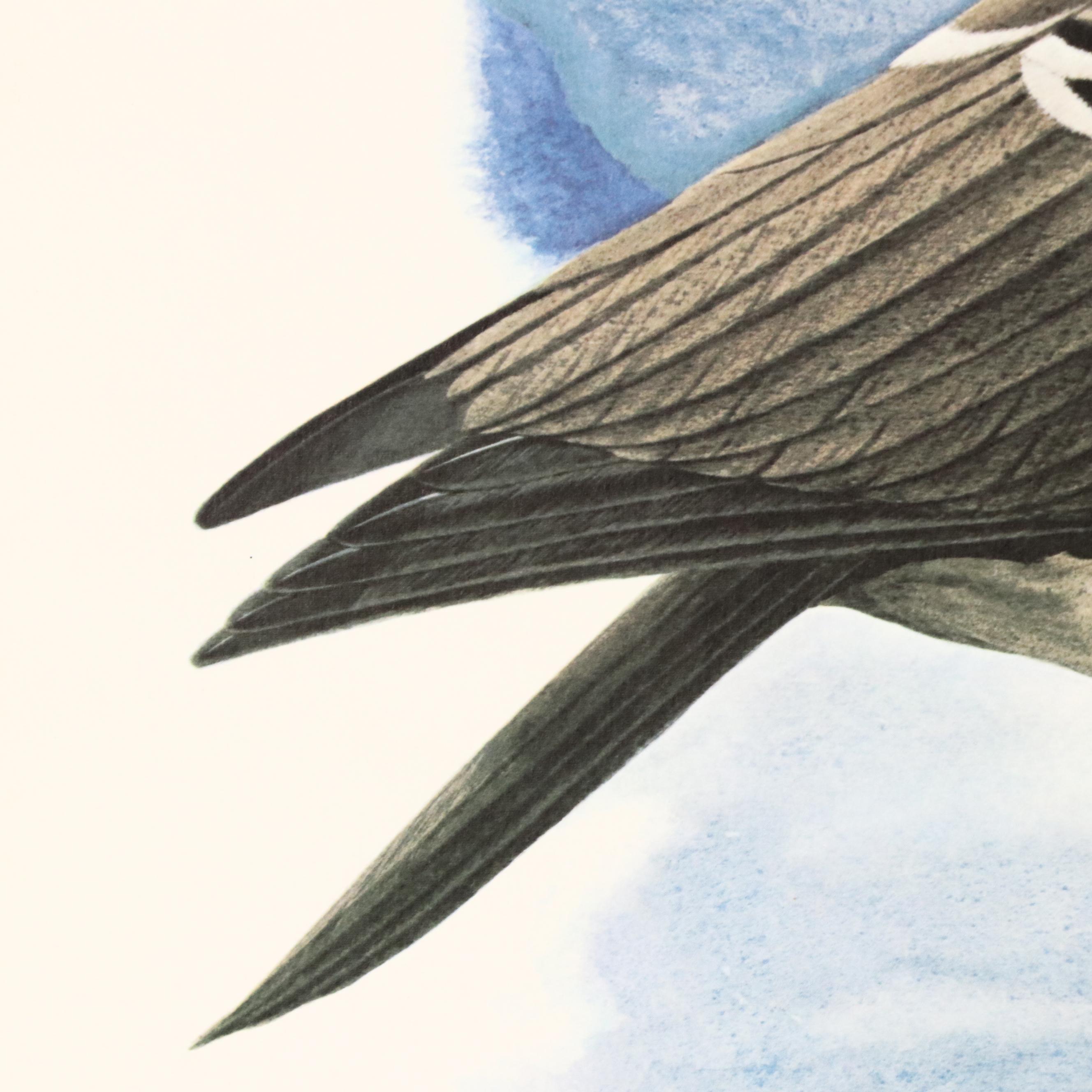 Richard Sloan Offset Lithograph "Nene," Circa 1976