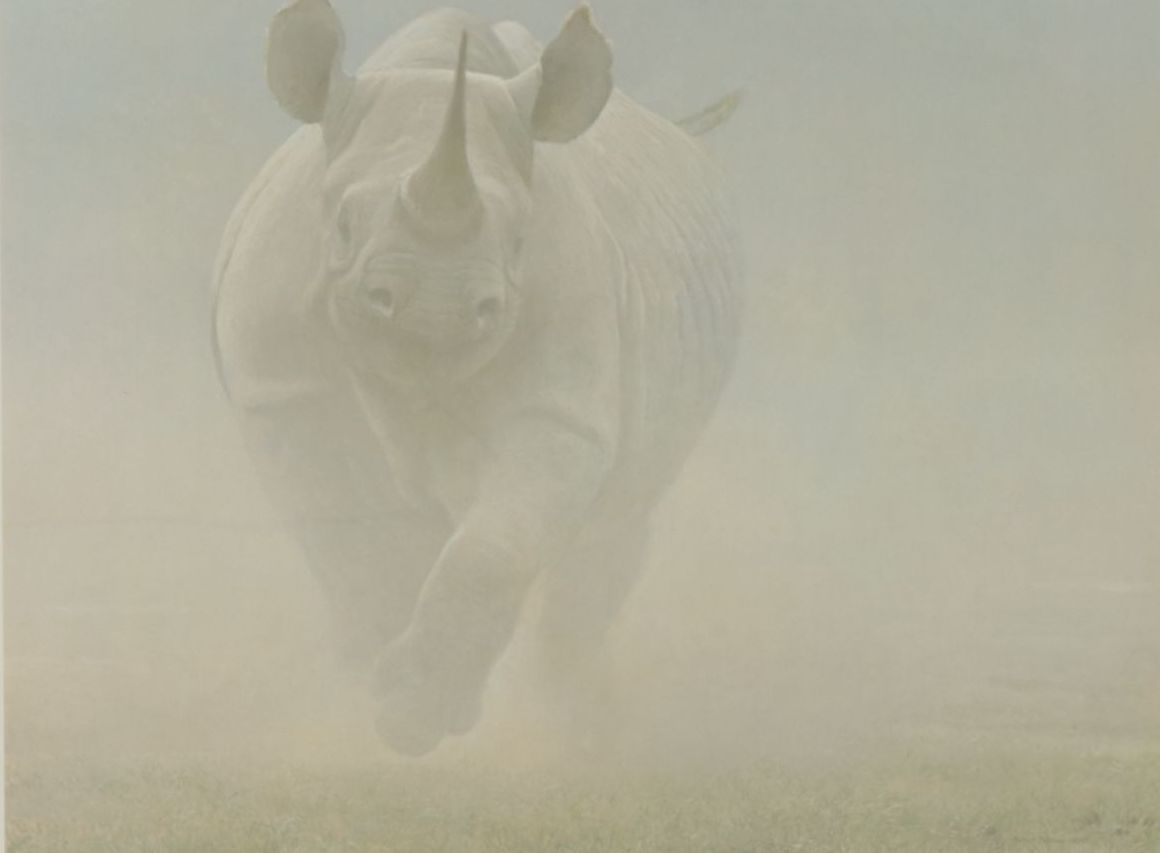 Robert Bateman Offset Lithograph "Power Play - Rhinoceros", 1991