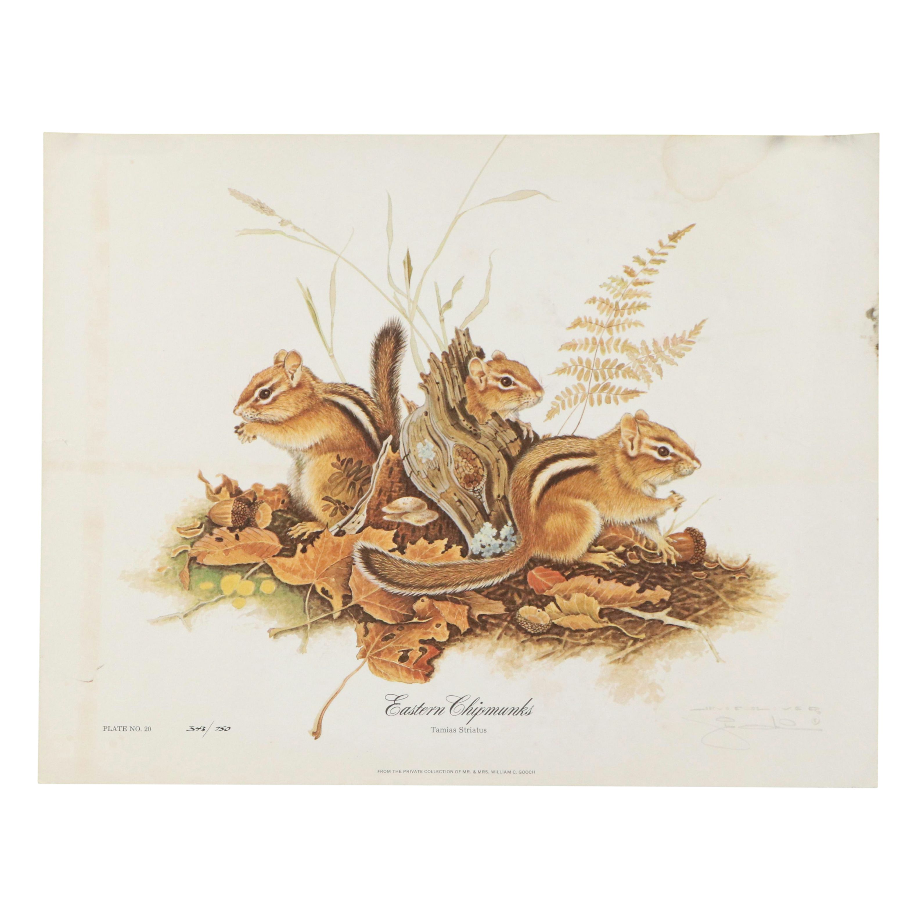 Jim Oliver Offset Lithograph "Eastern Chipmunks," Late 20th Century