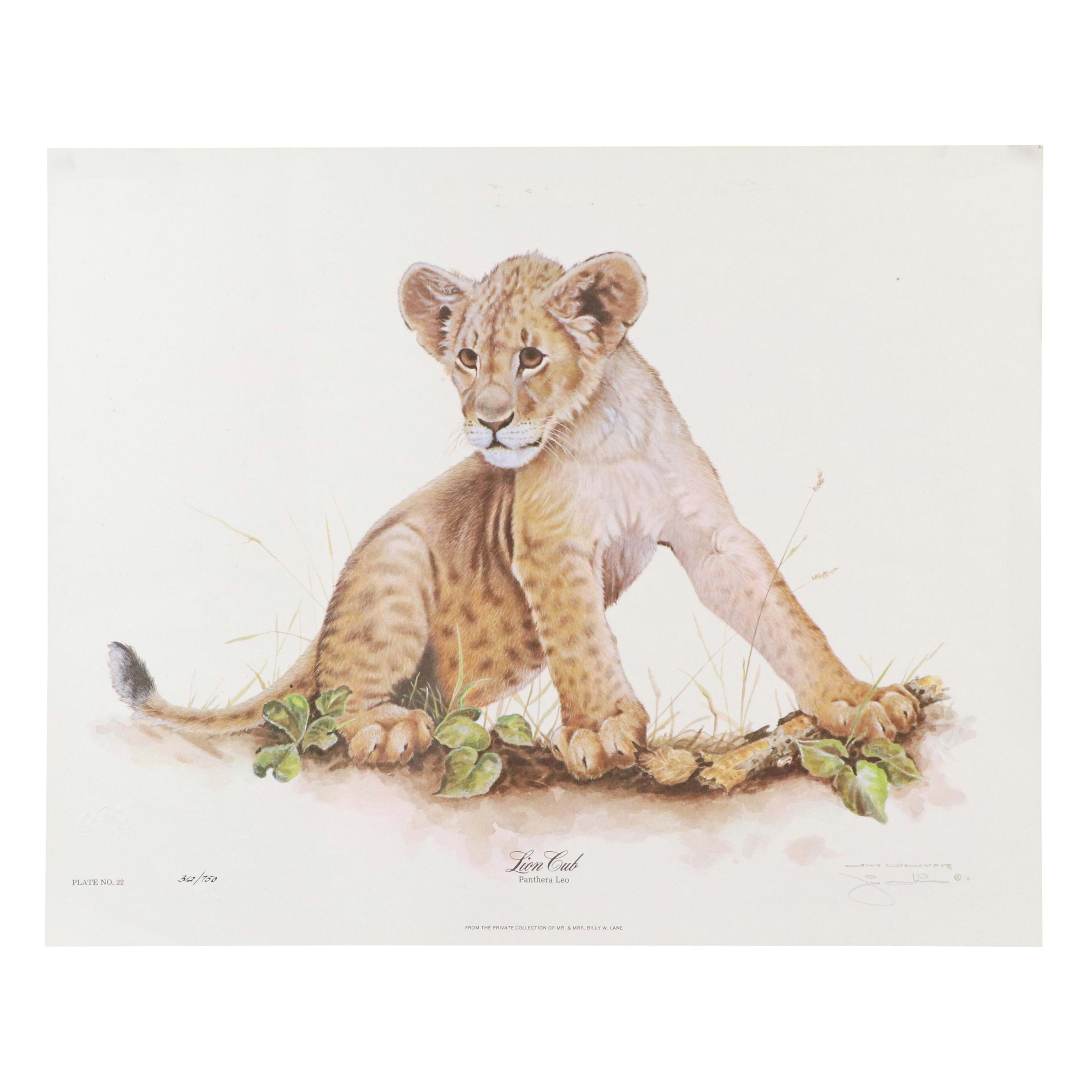 Jim Oliver Offset Lithograph "Lion Cub," Late 20th Century