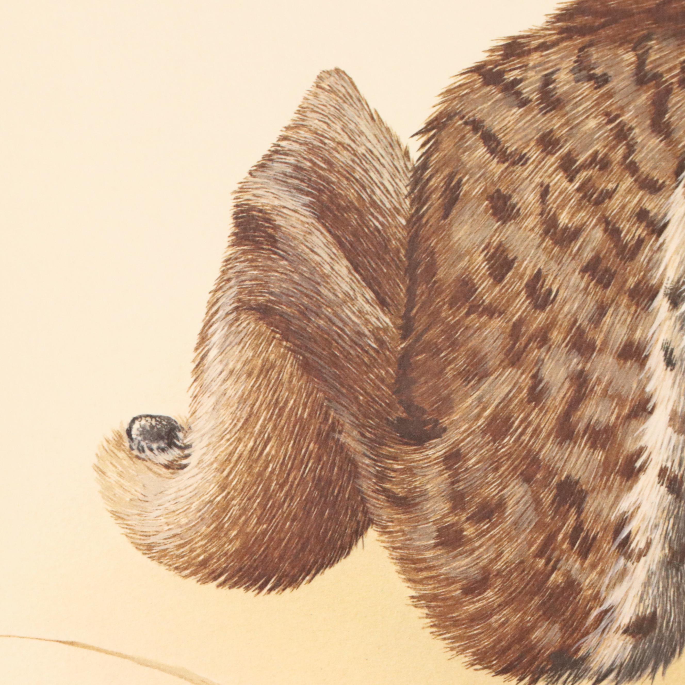 Gene Gray Offset Lithograph "Wildcat," Circa 1977