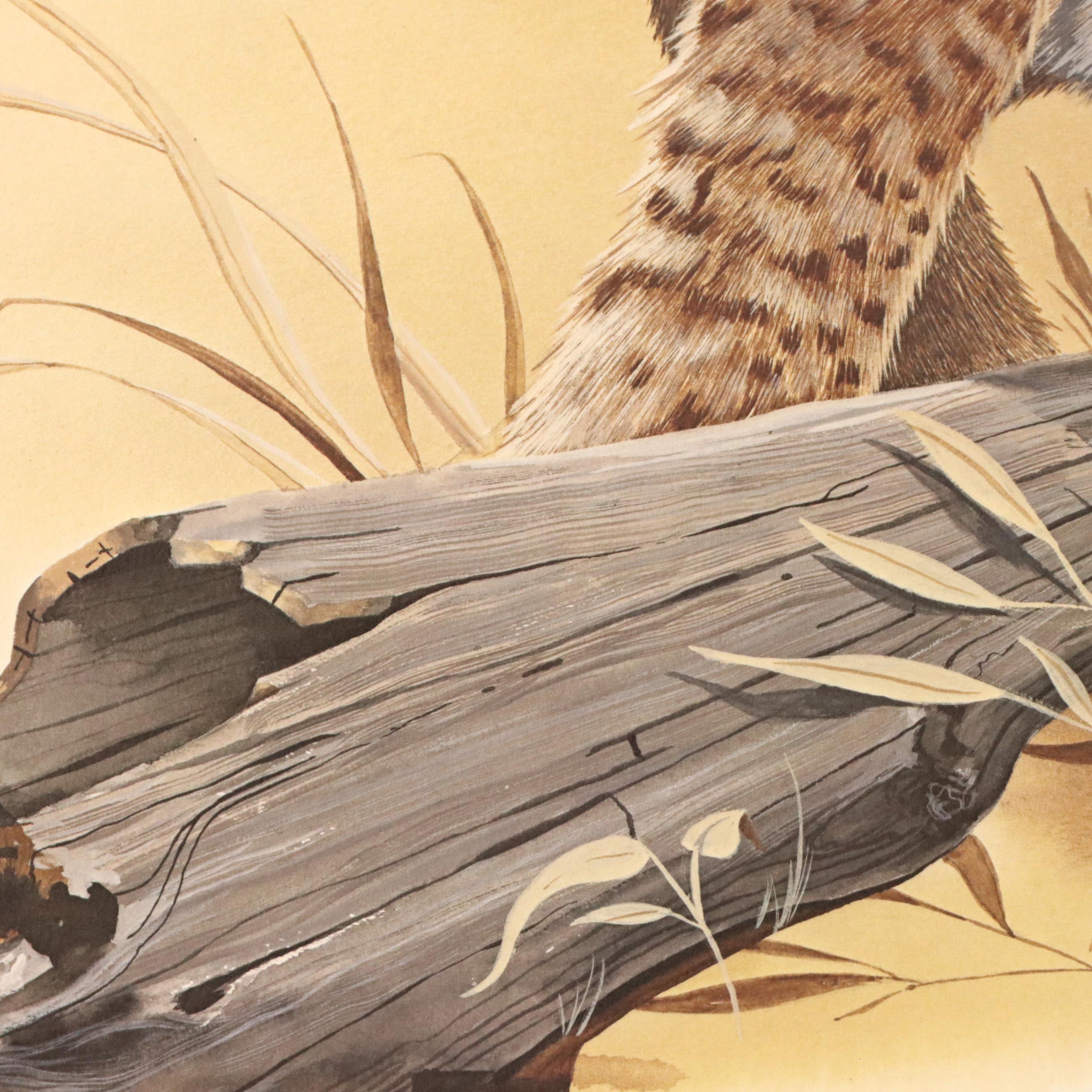 Gene Gray Offset Lithograph "Wildcat," Circa 1977