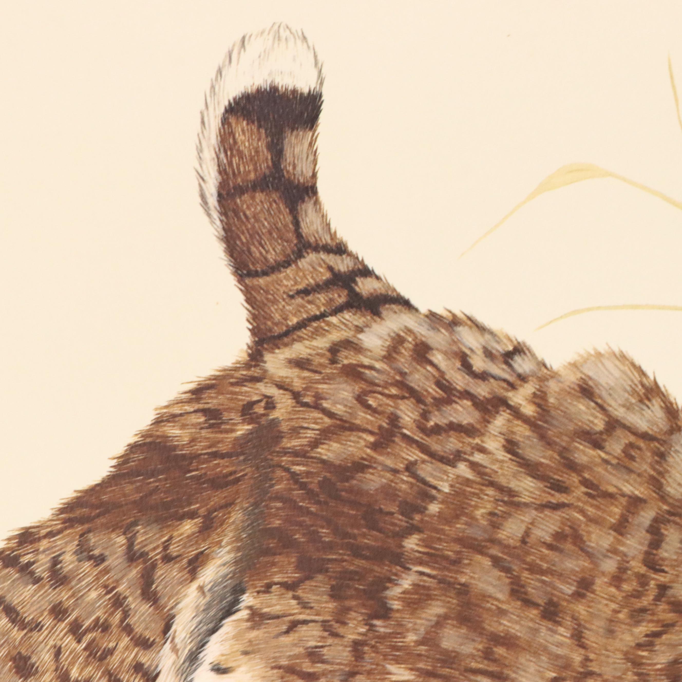 Gene Gray Offset Lithograph "Wildcat," Circa 1977