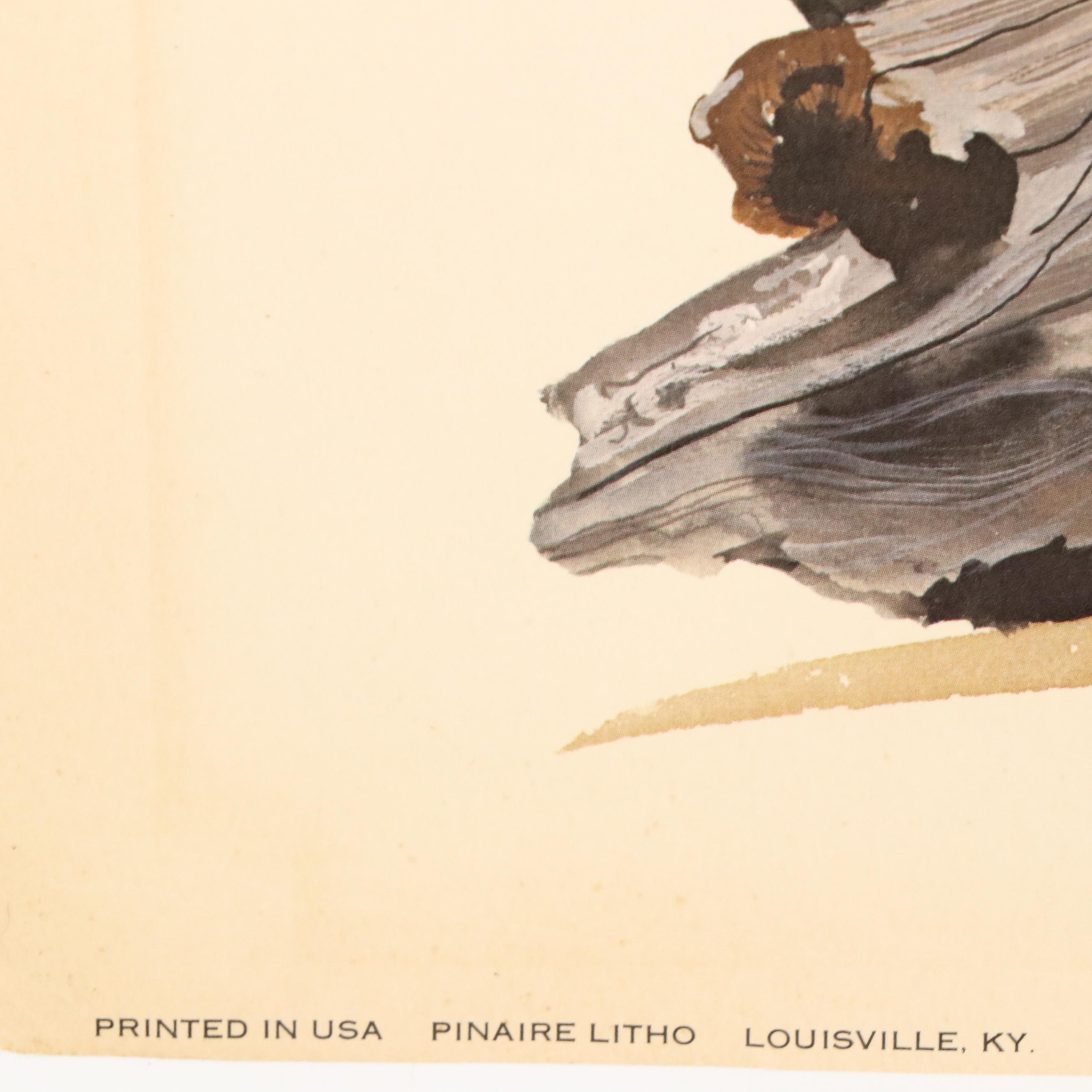 Gene Gray Offset Lithograph "Wildcat," Circa 1977