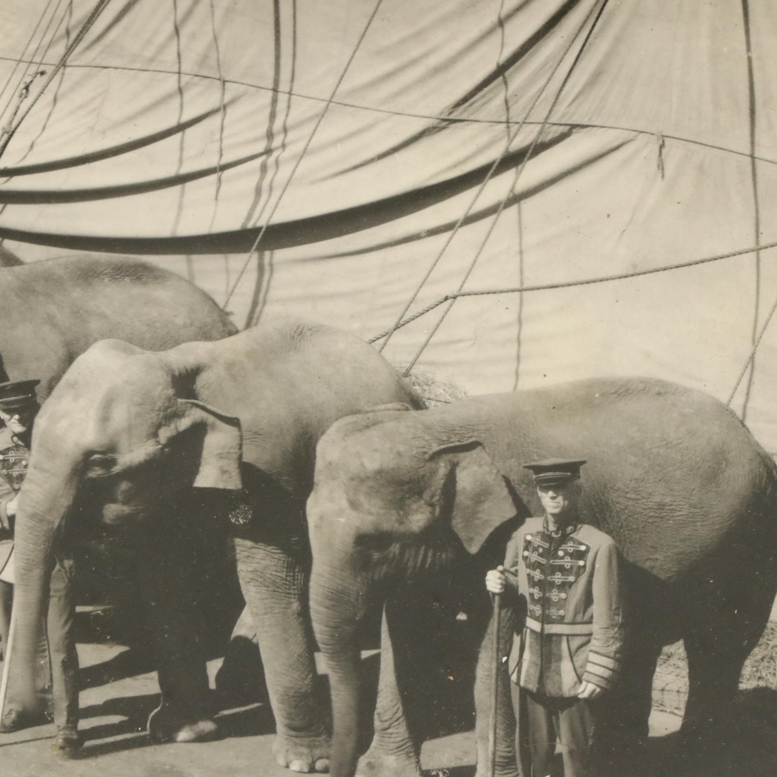 Circus Portrait Silver Gelatin Photograph "Cheerful Gardner and His Bulls," 1933