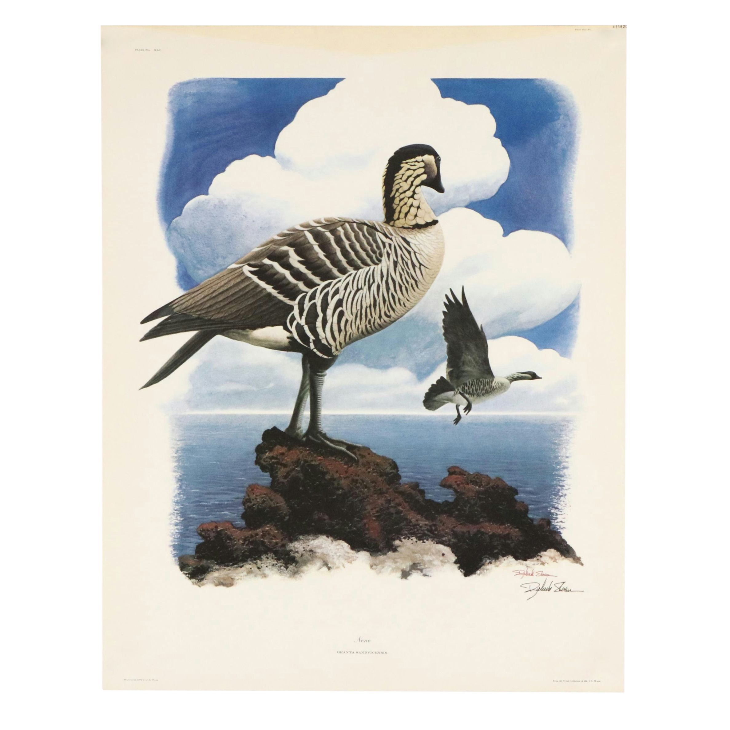 Richard Sloan Offset Lithograph "Nene," Circa 1976