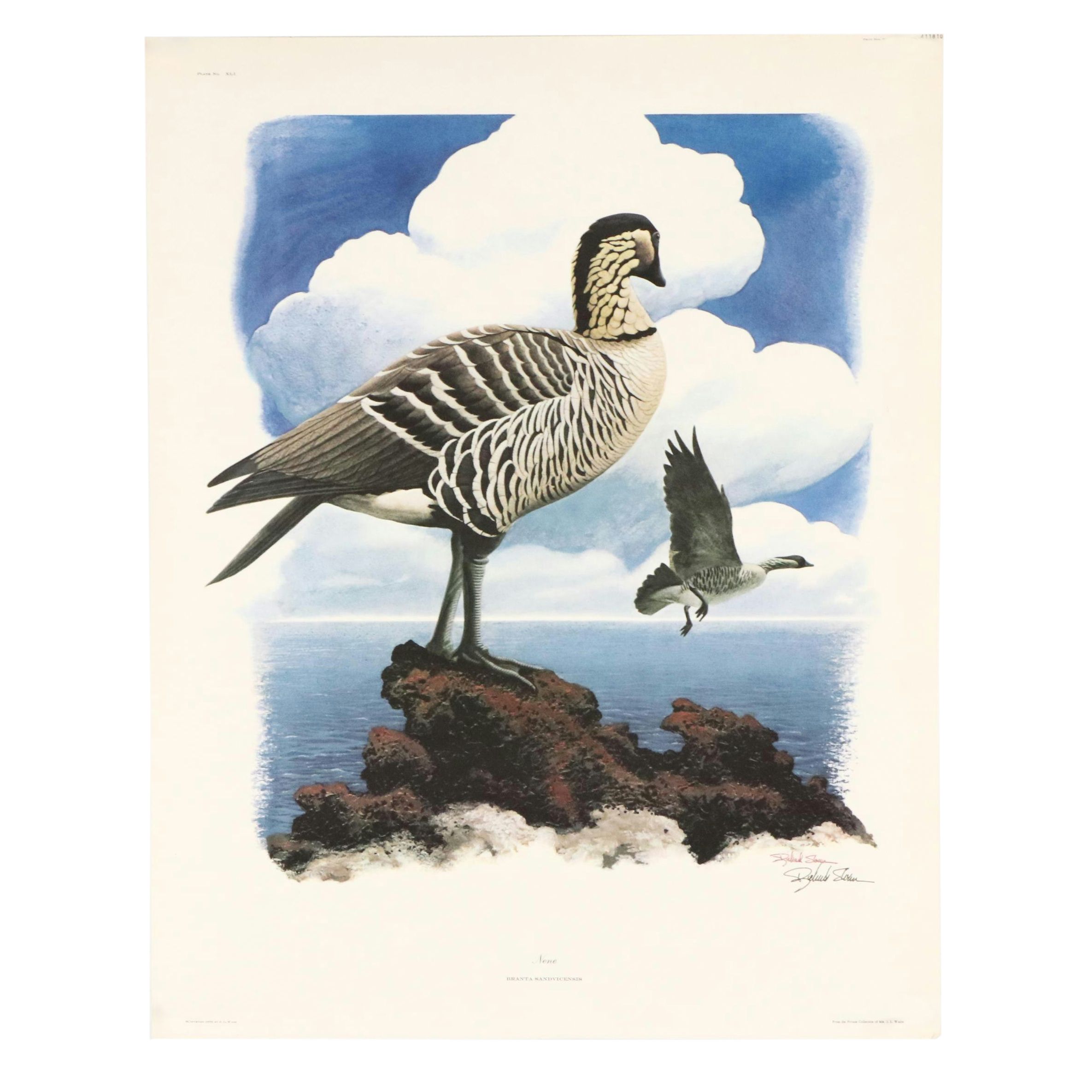 Richard Sloan Offset Lithograph "Nene," Circa 1976