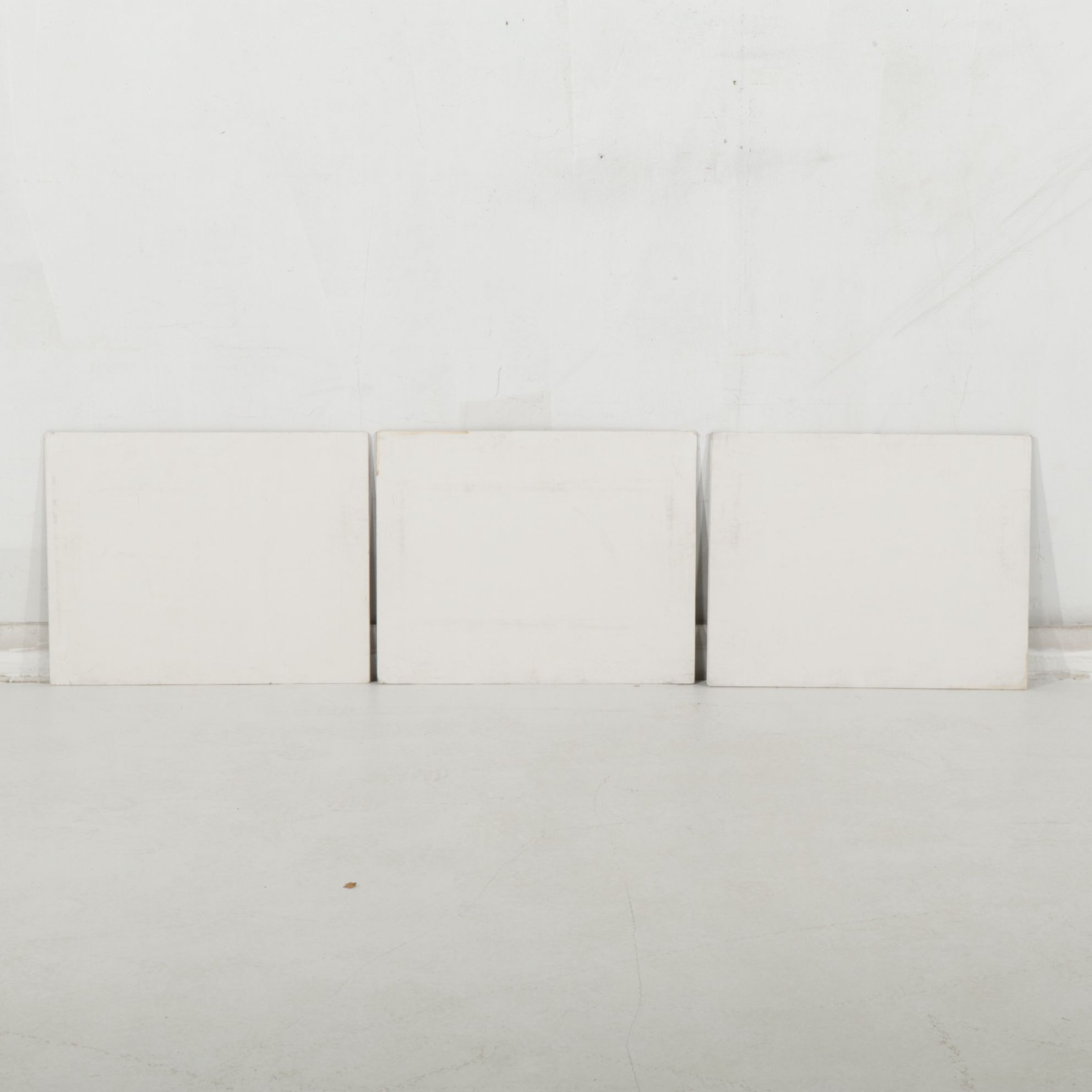 Anthony Root Collection of High Contrast Wildlife Photographs of Various Animals