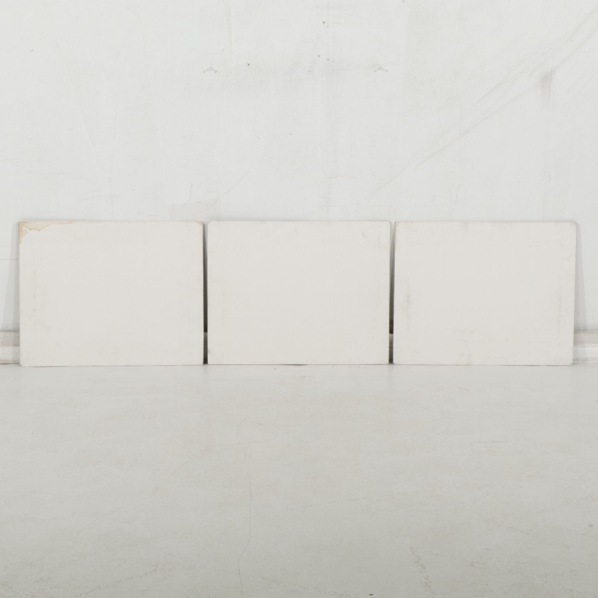 Anthony Root Collection of High Contrast Wildlife Photographs of Safari Animals