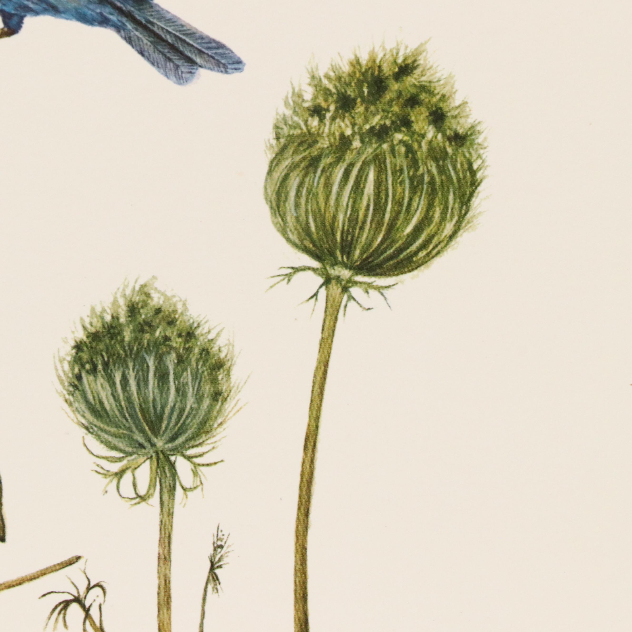 After E. D. Williams Offset Lithograph "Indigo Bunting," 1973