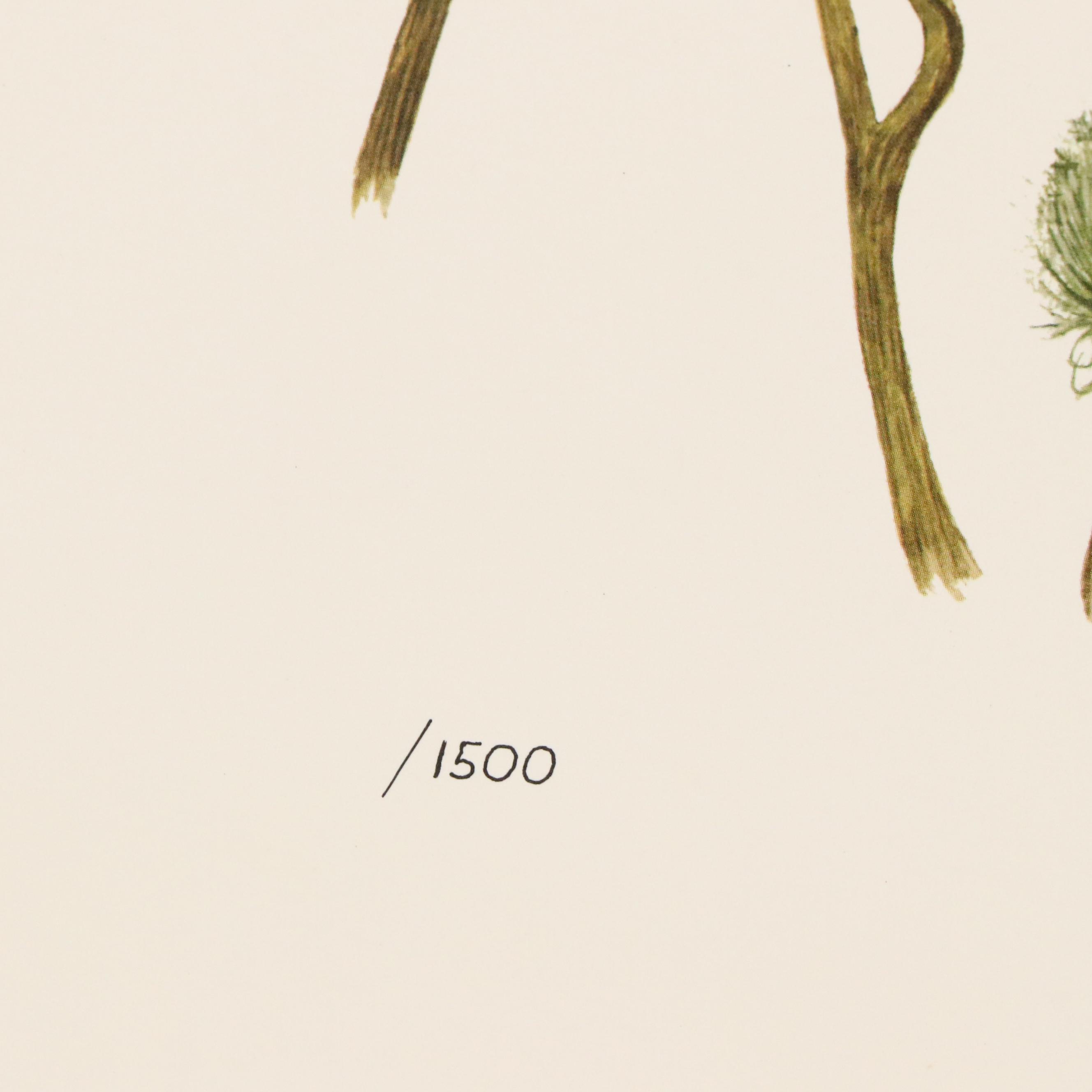 After E. D. Williams Offset Lithograph "Indigo Bunting," 1973