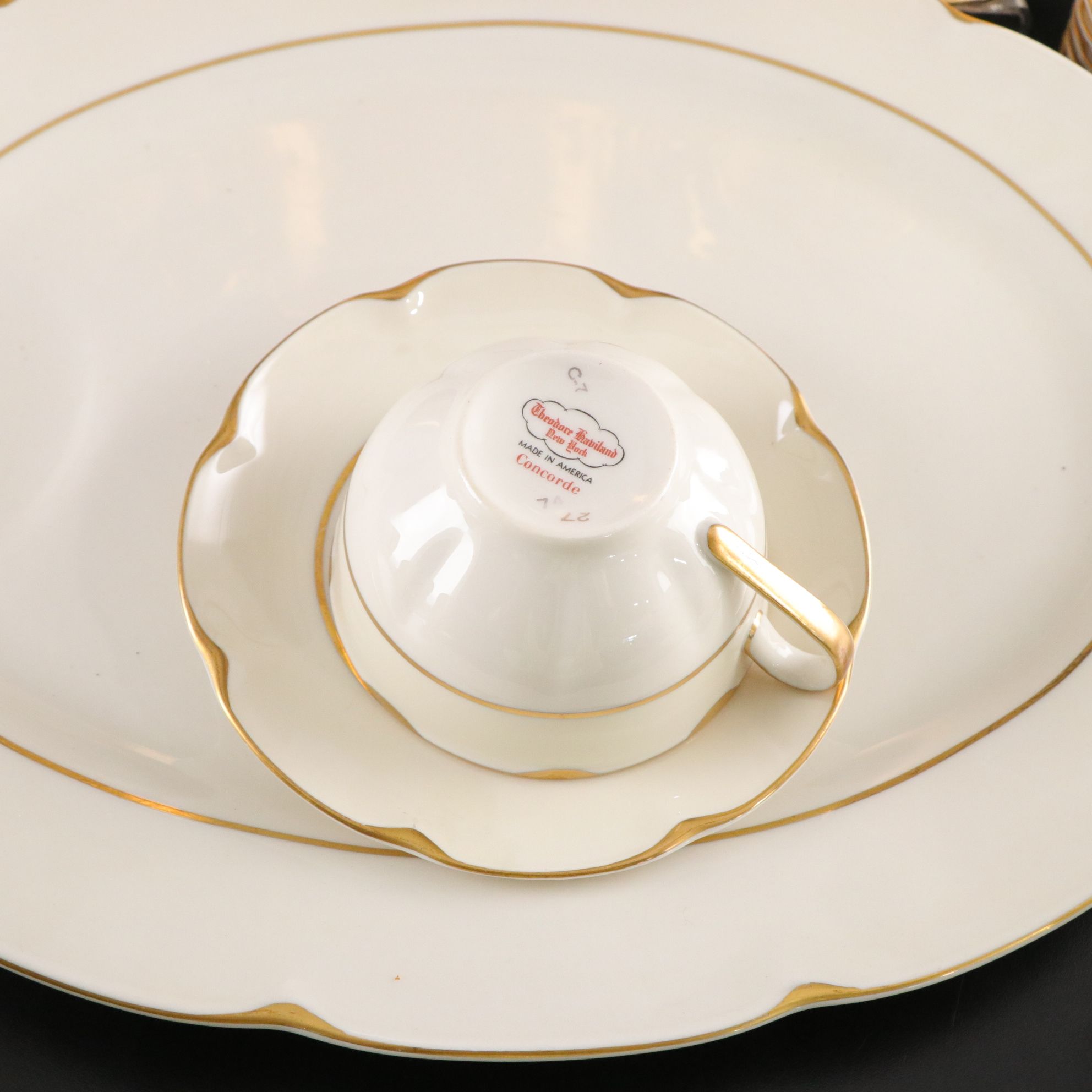 Theodore Haviland "Concorde" Dinnerware with Homer Laughlin Coffee Set & Extras