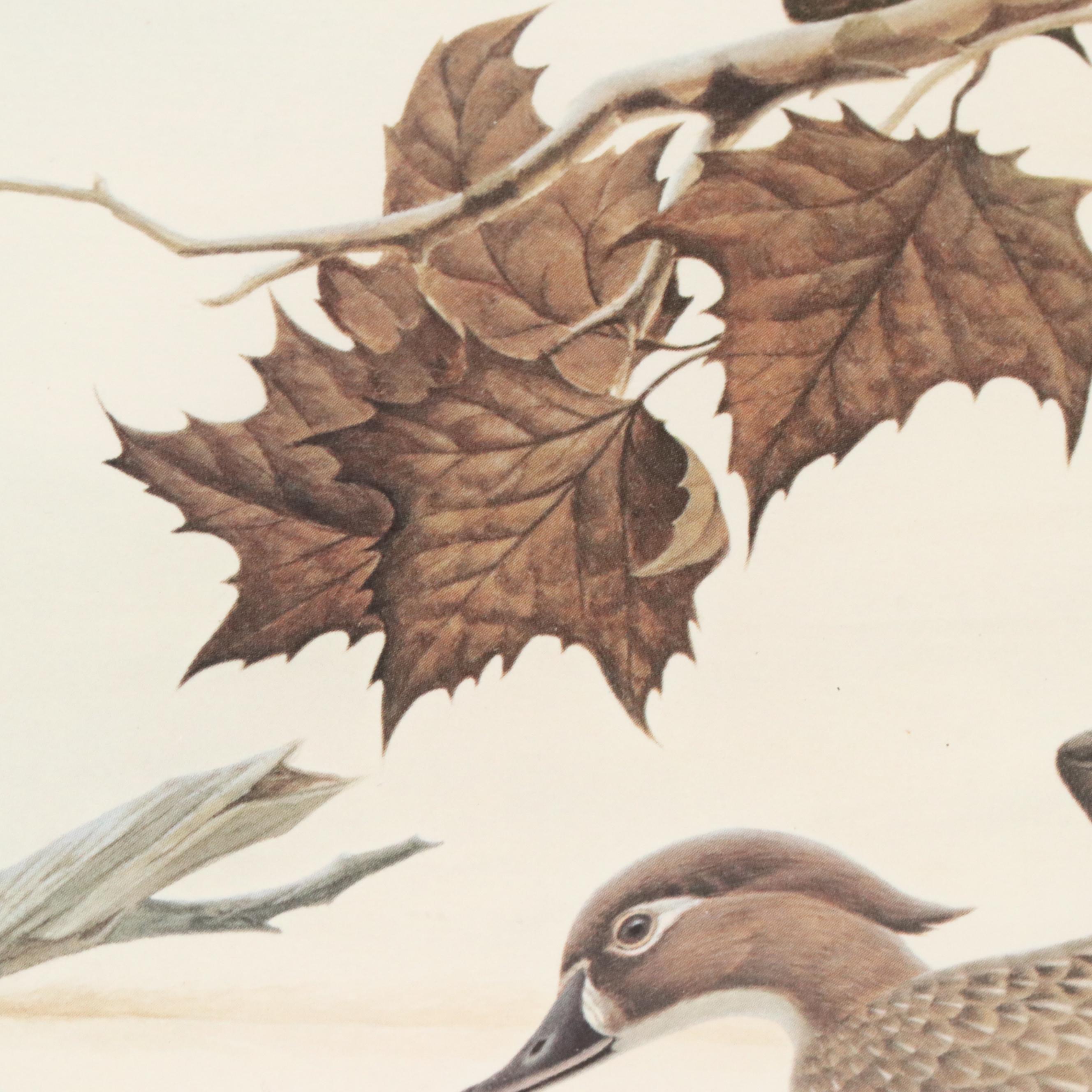 John A. Ruthven Offset Lithograph "Wood Duck" Ohio Duck Stamp, 1982