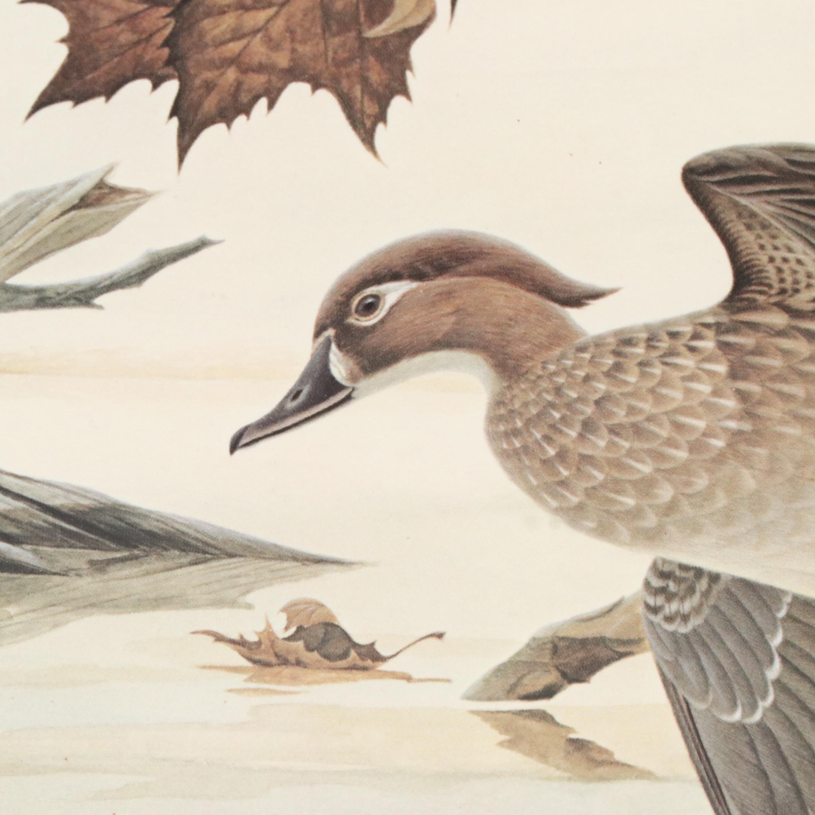 John A. Ruthven Offset Lithograph "Wood Duck" Ohio Duck Stamp, 1982