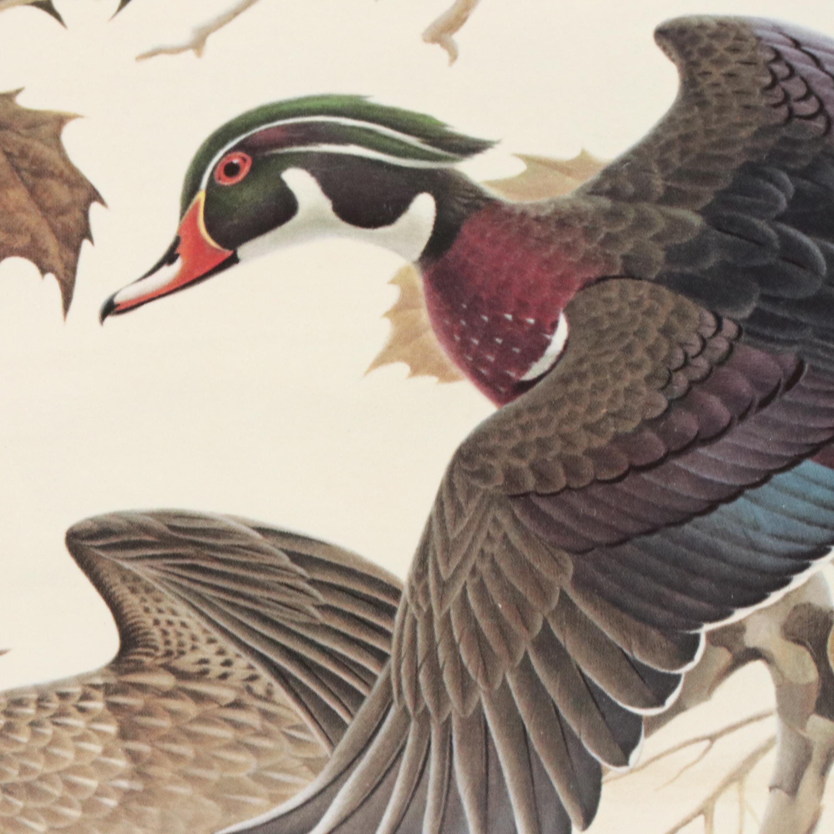 John A. Ruthven Offset Lithograph "Wood Duck" Ohio Duck Stamp, 1982