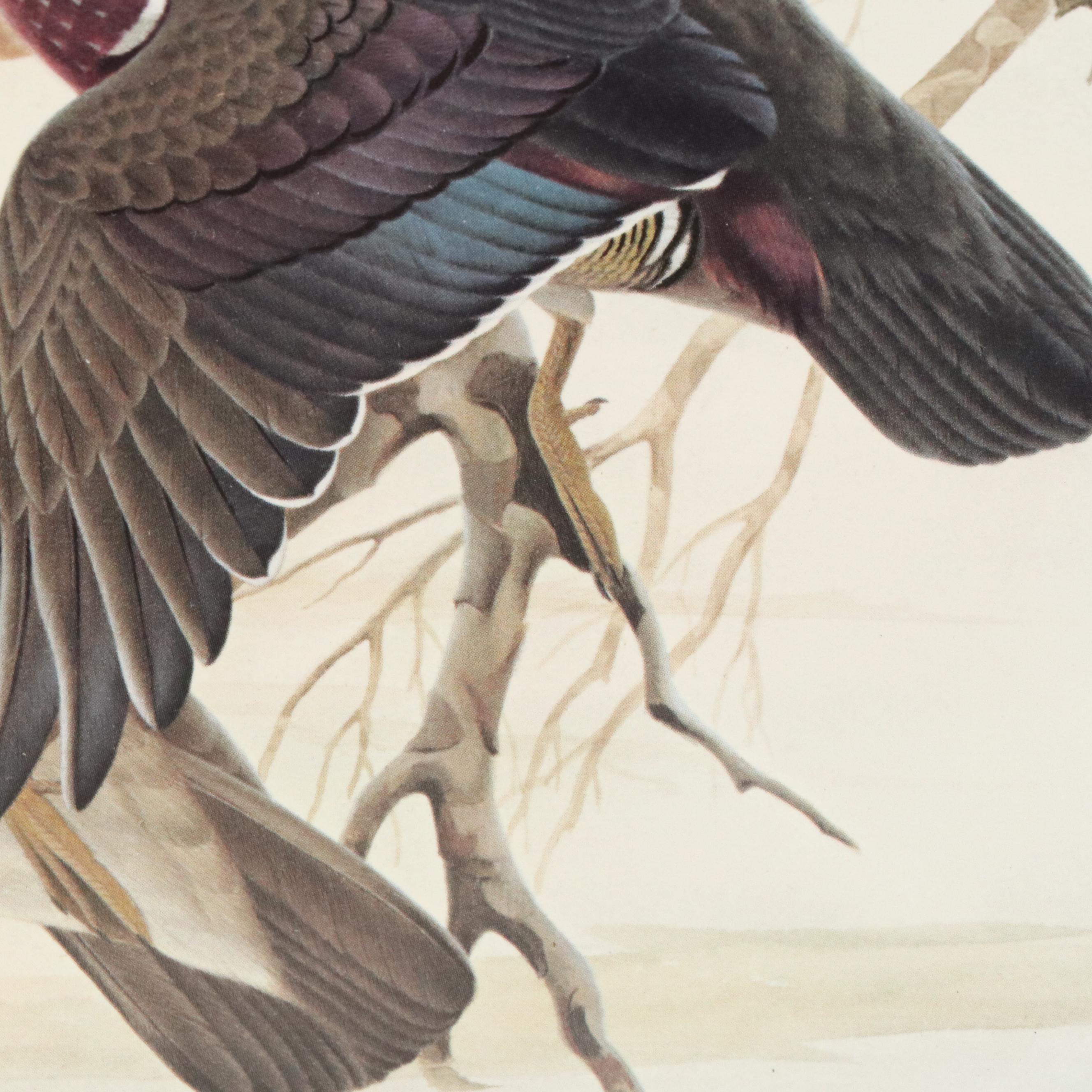 John A. Ruthven Offset Lithograph "Wood Duck" Ohio Duck Stamp, 1982