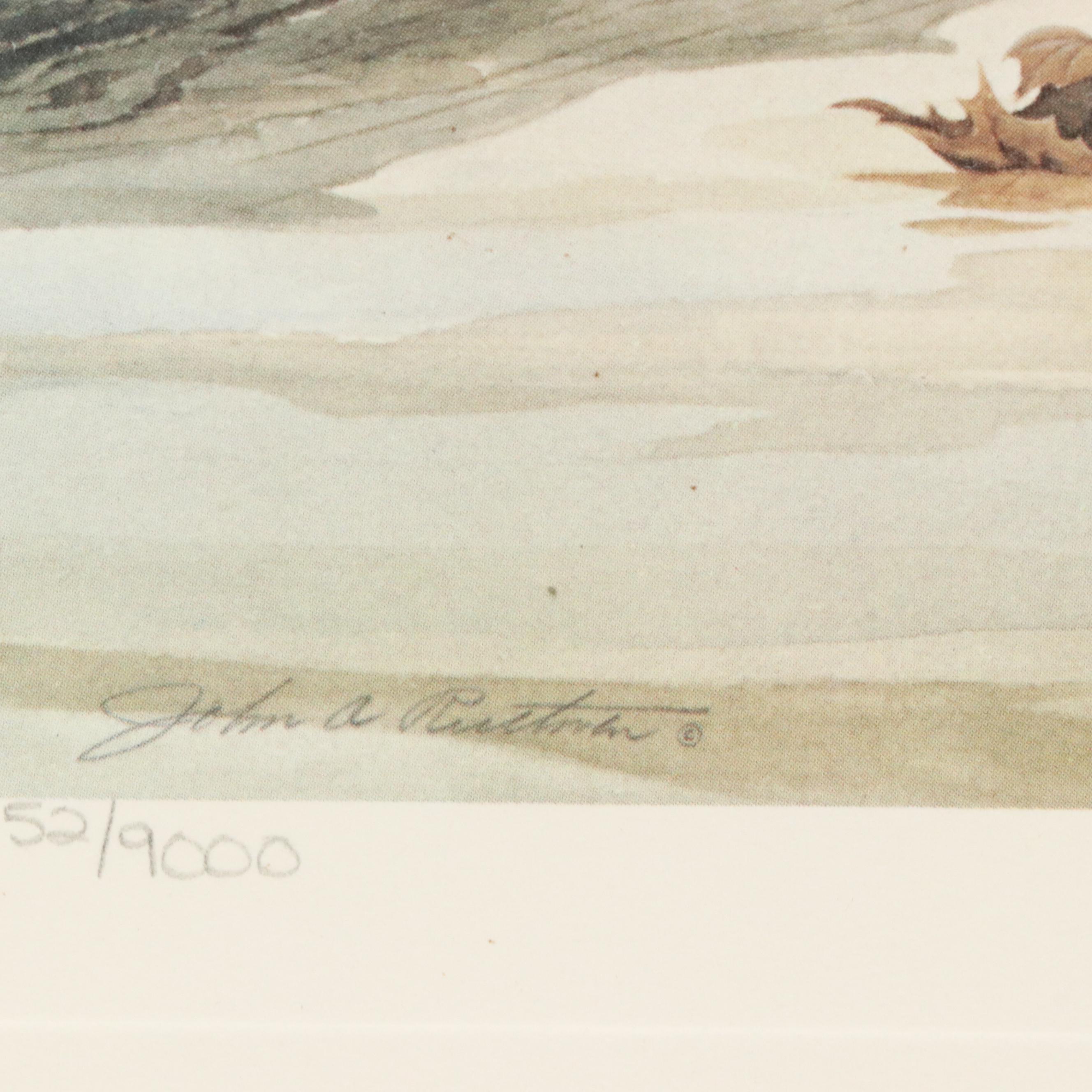 John A. Ruthven Offset Lithograph "Wood Duck" Ohio Duck Stamp, 1982