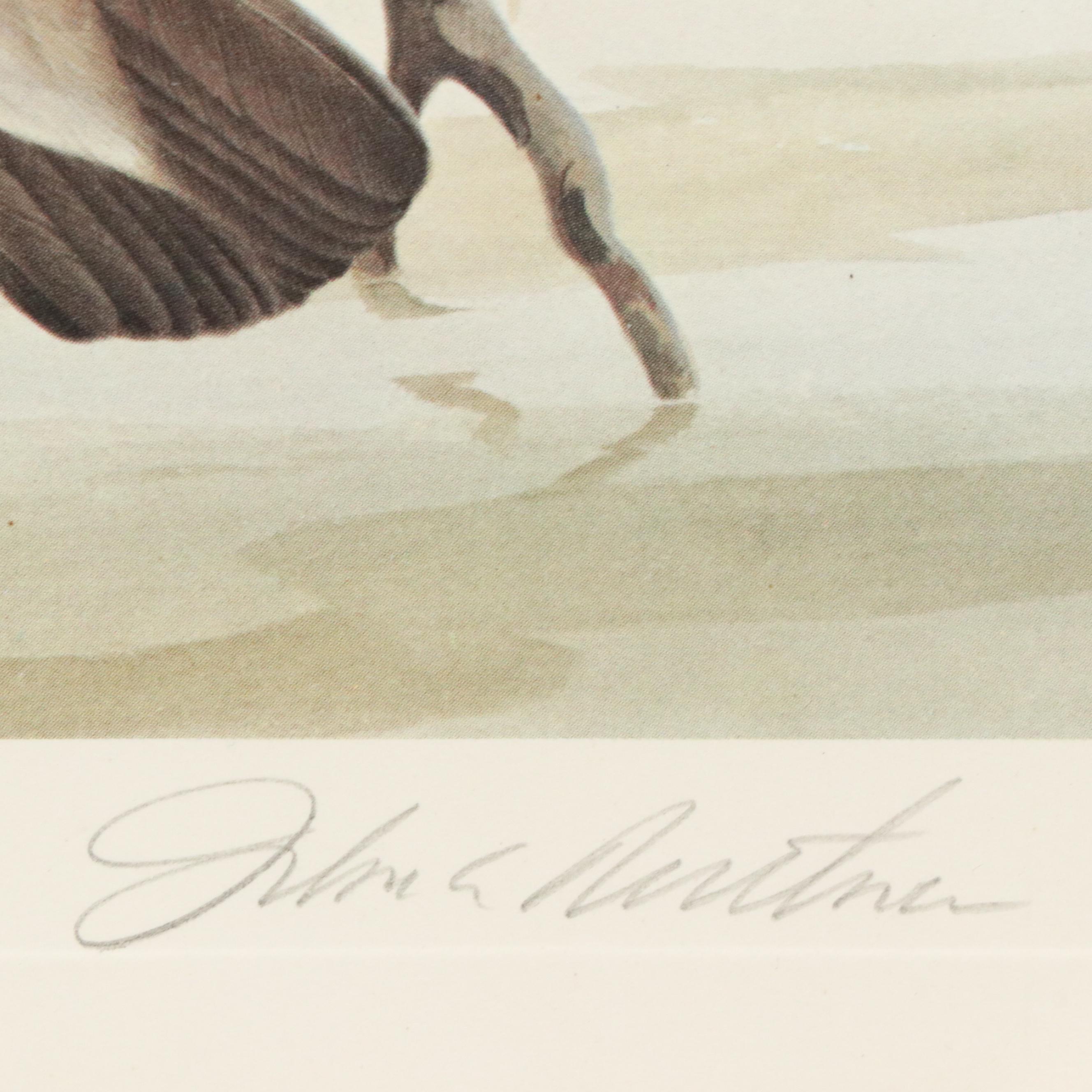 John A. Ruthven Offset Lithograph "Wood Duck" Ohio Duck Stamp, 1982