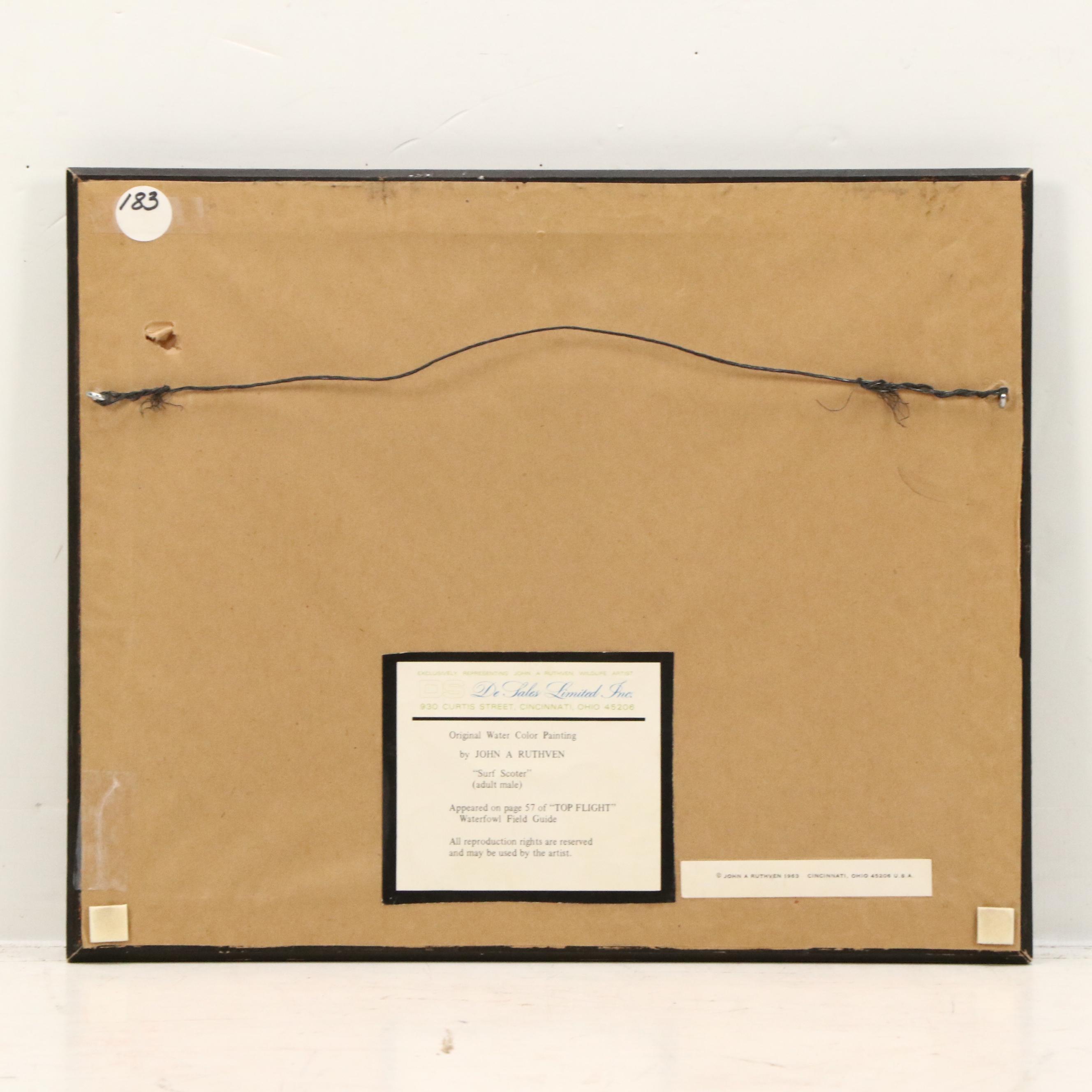 John A. Ruthven Watercolor "Surf Scoter, Male," 1963