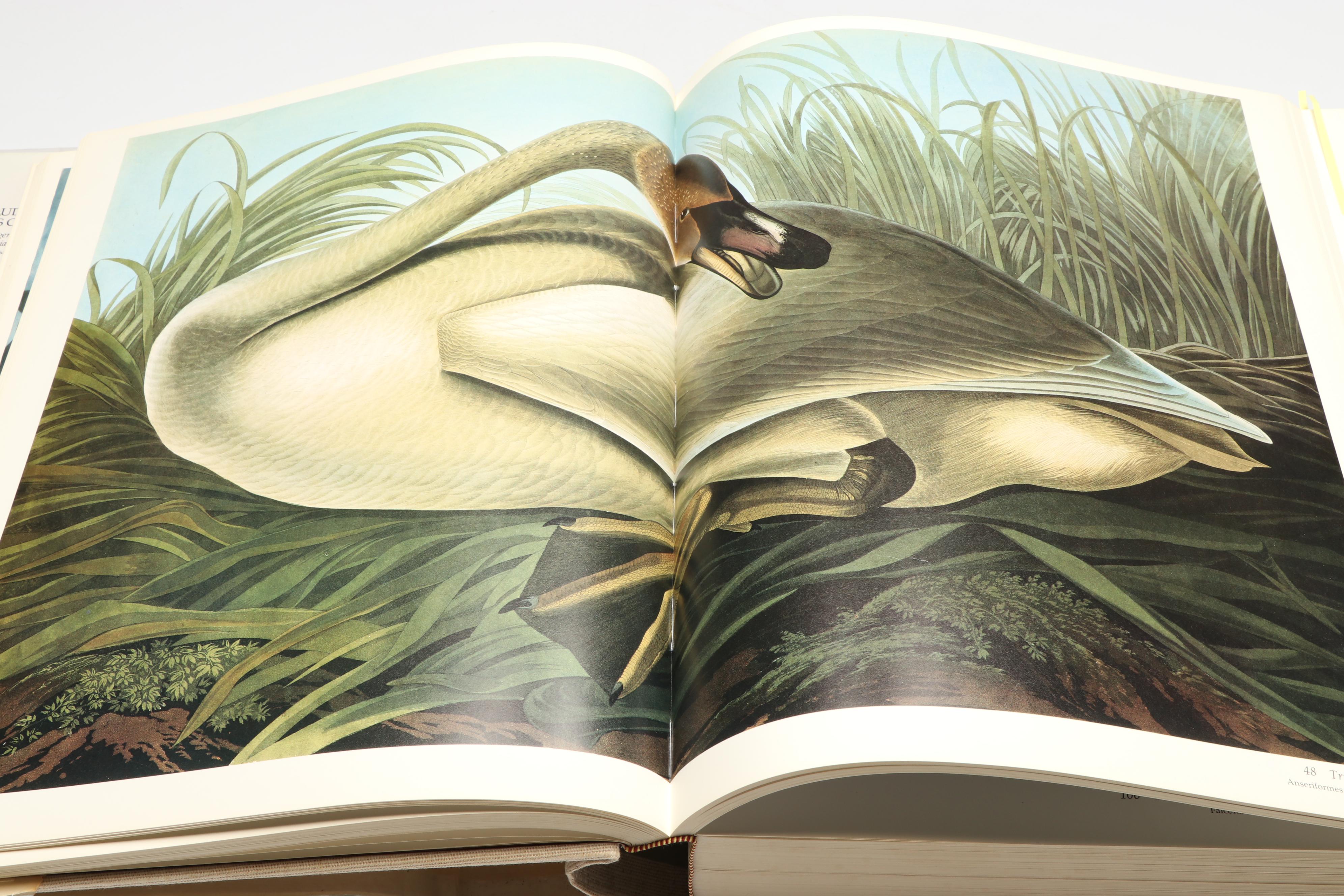 Baby Elephant Folio "Audubon's Birds of America" by the Petersons, 1985