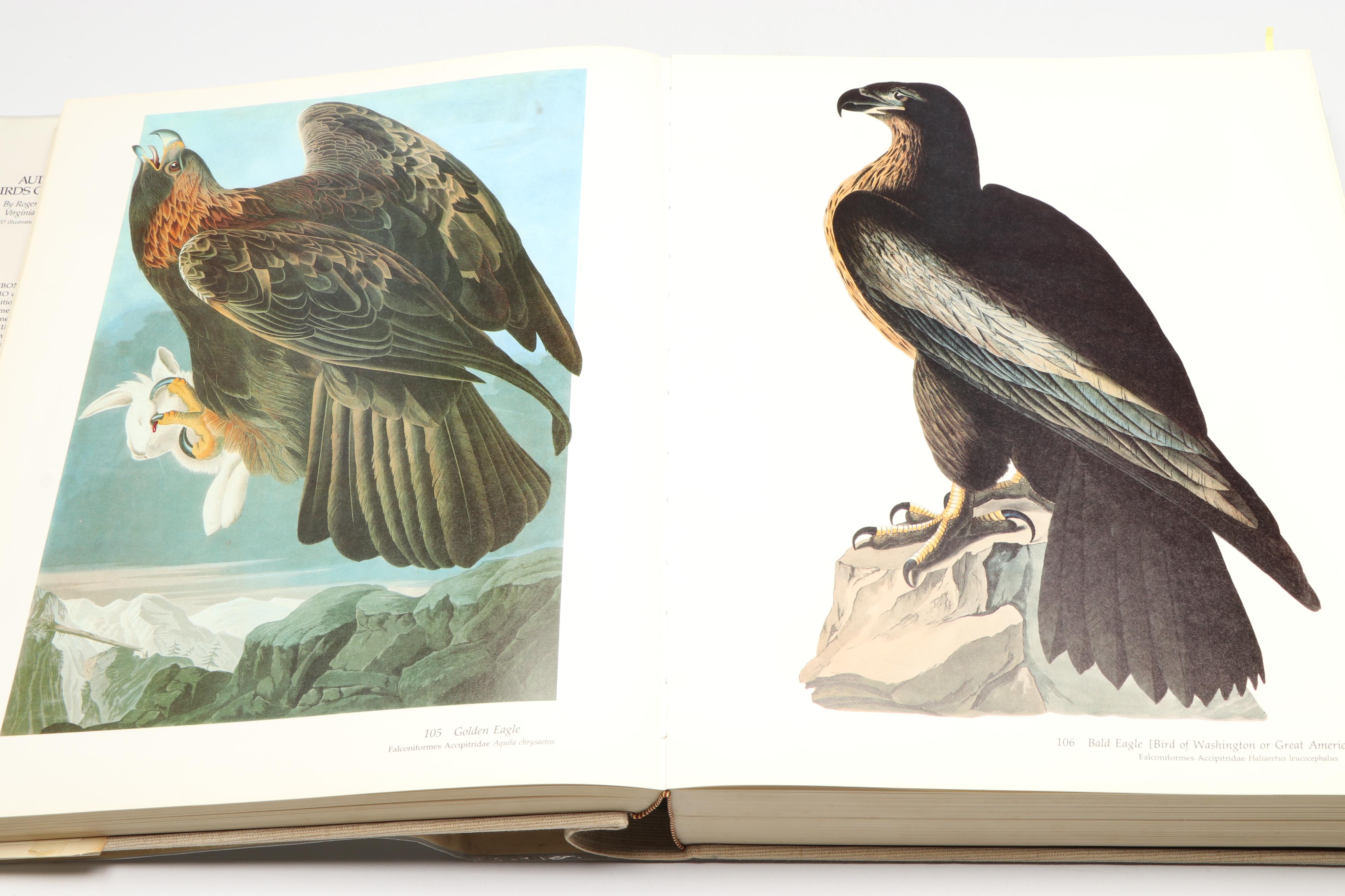 Baby Elephant Folio "Audubon's Birds of America" by the Petersons, 1985