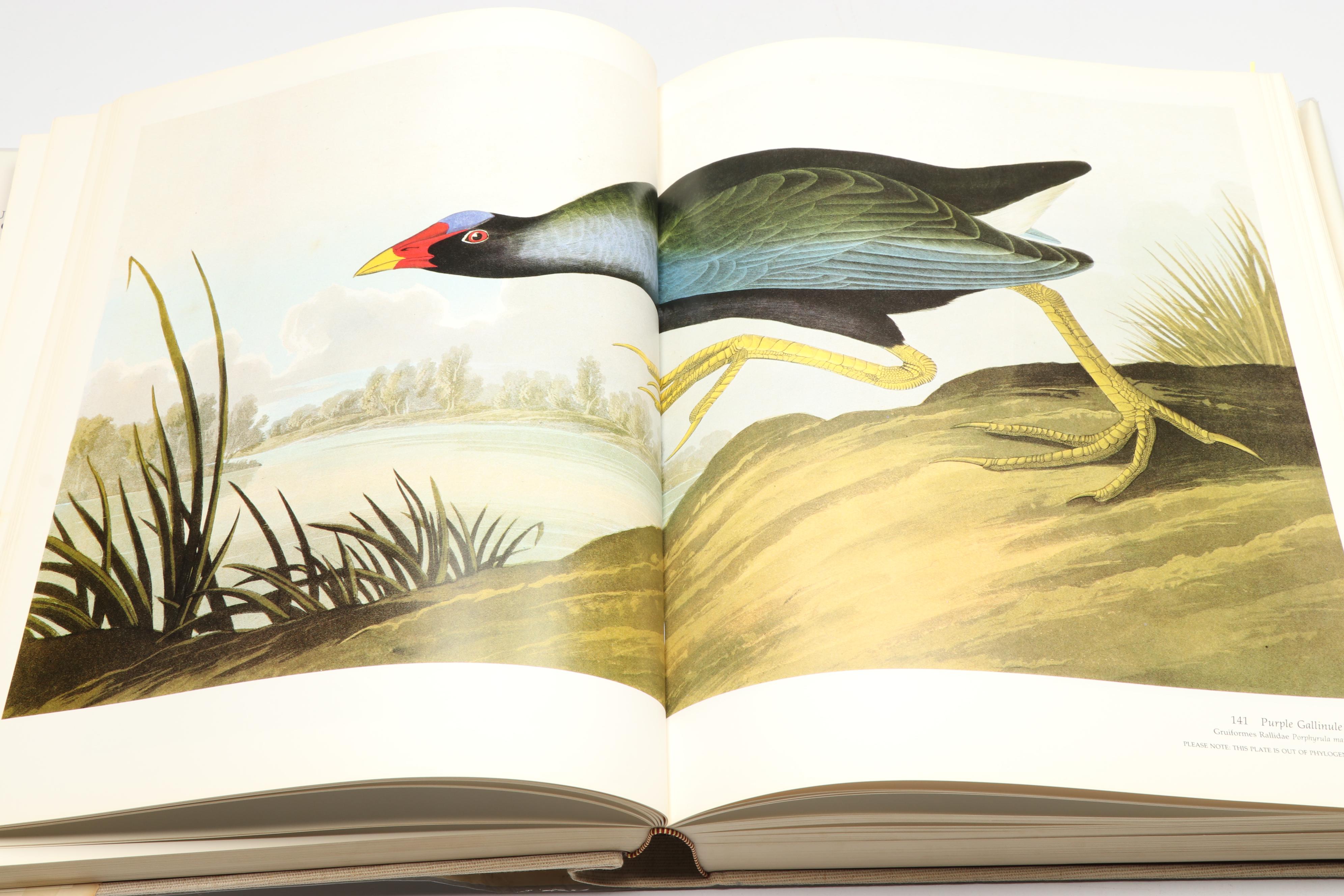 Baby Elephant Folio "Audubon's Birds of America" by the Petersons, 1985