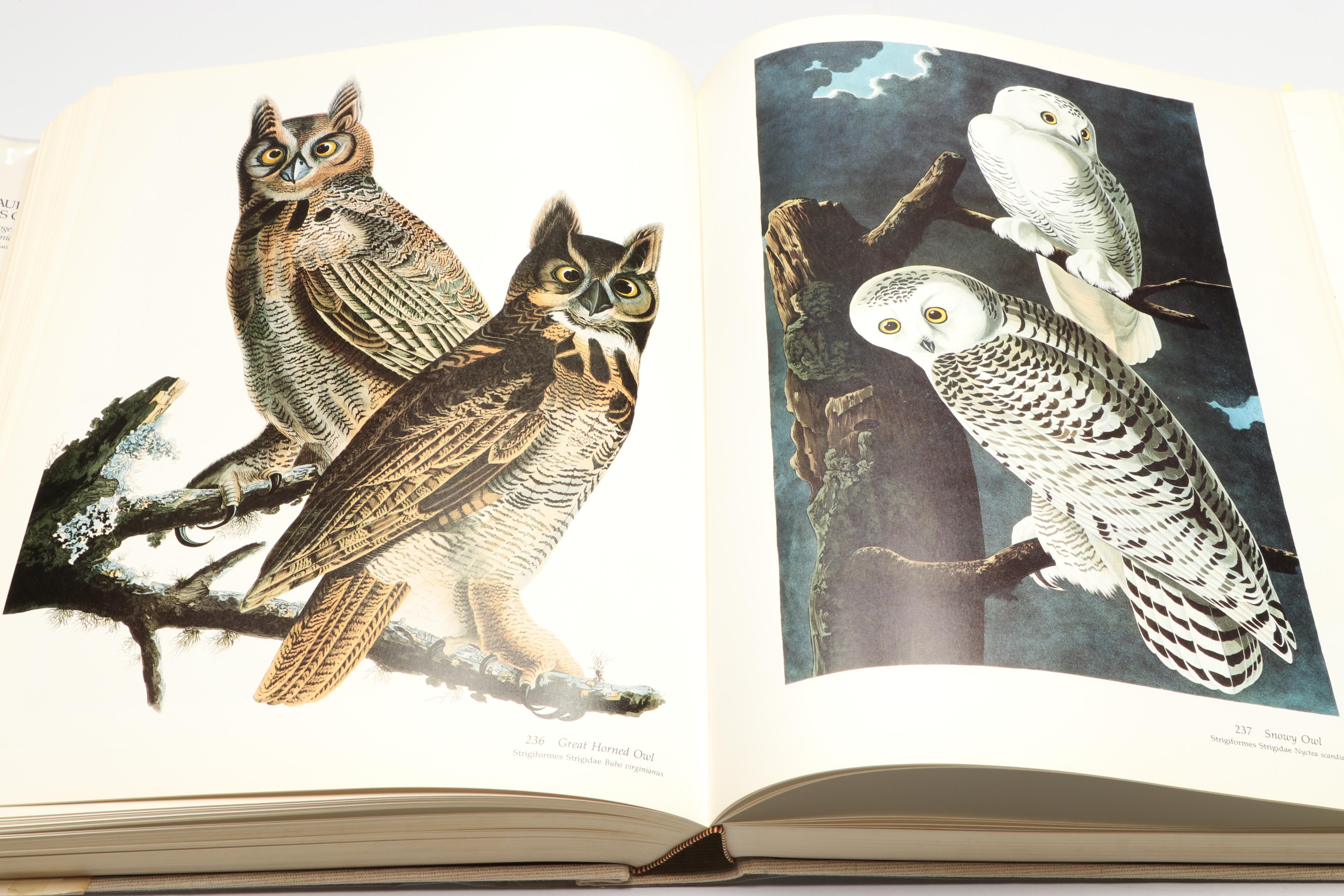 Baby Elephant Folio "Audubon's Birds of America" by the Petersons, 1985