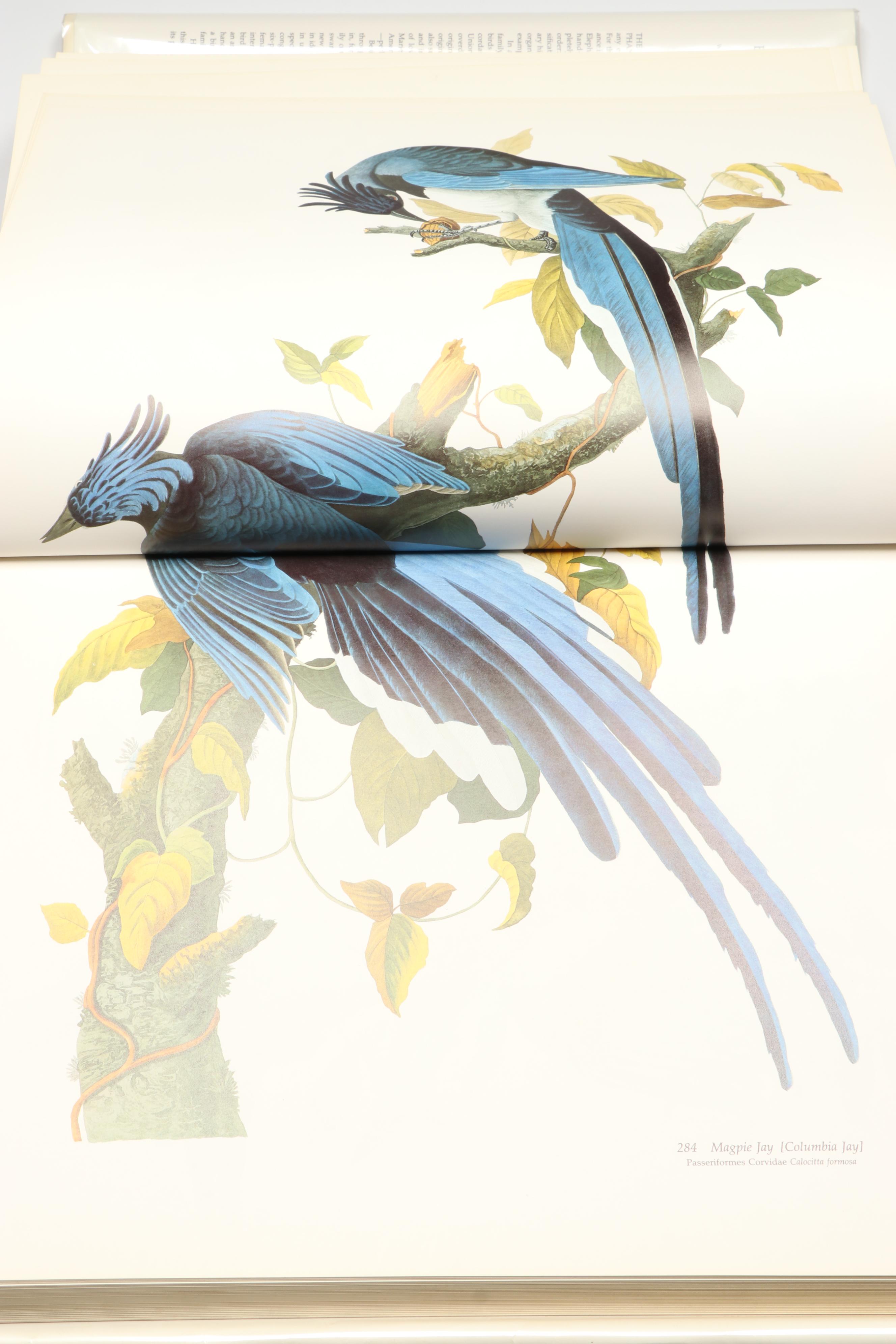 Baby Elephant Folio "Audubon's Birds of America" by the Petersons, 1985