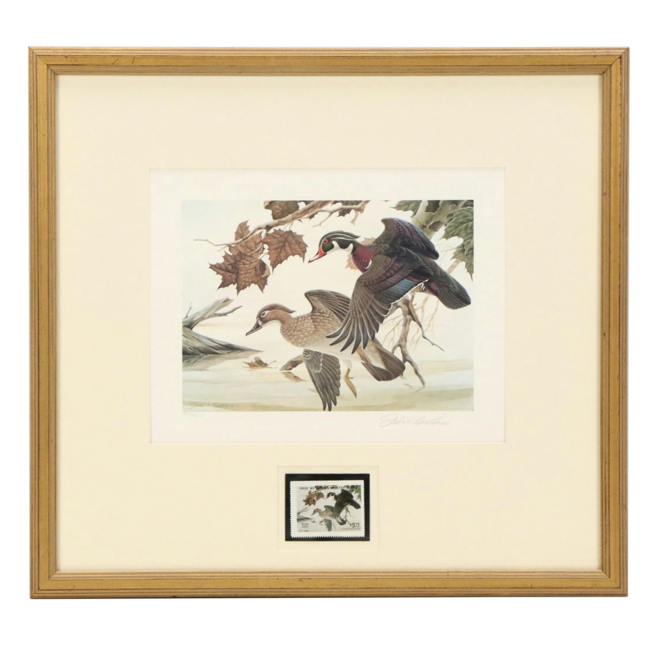 John A. Ruthven Offset Lithograph "Wood Duck" Ohio Duck Stamp, 1982
