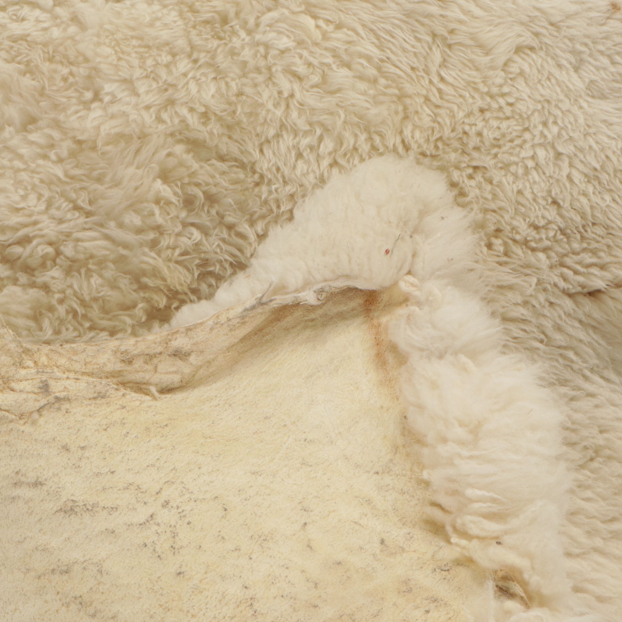 Australian and New Zealand Sheepskin Accent Rugs