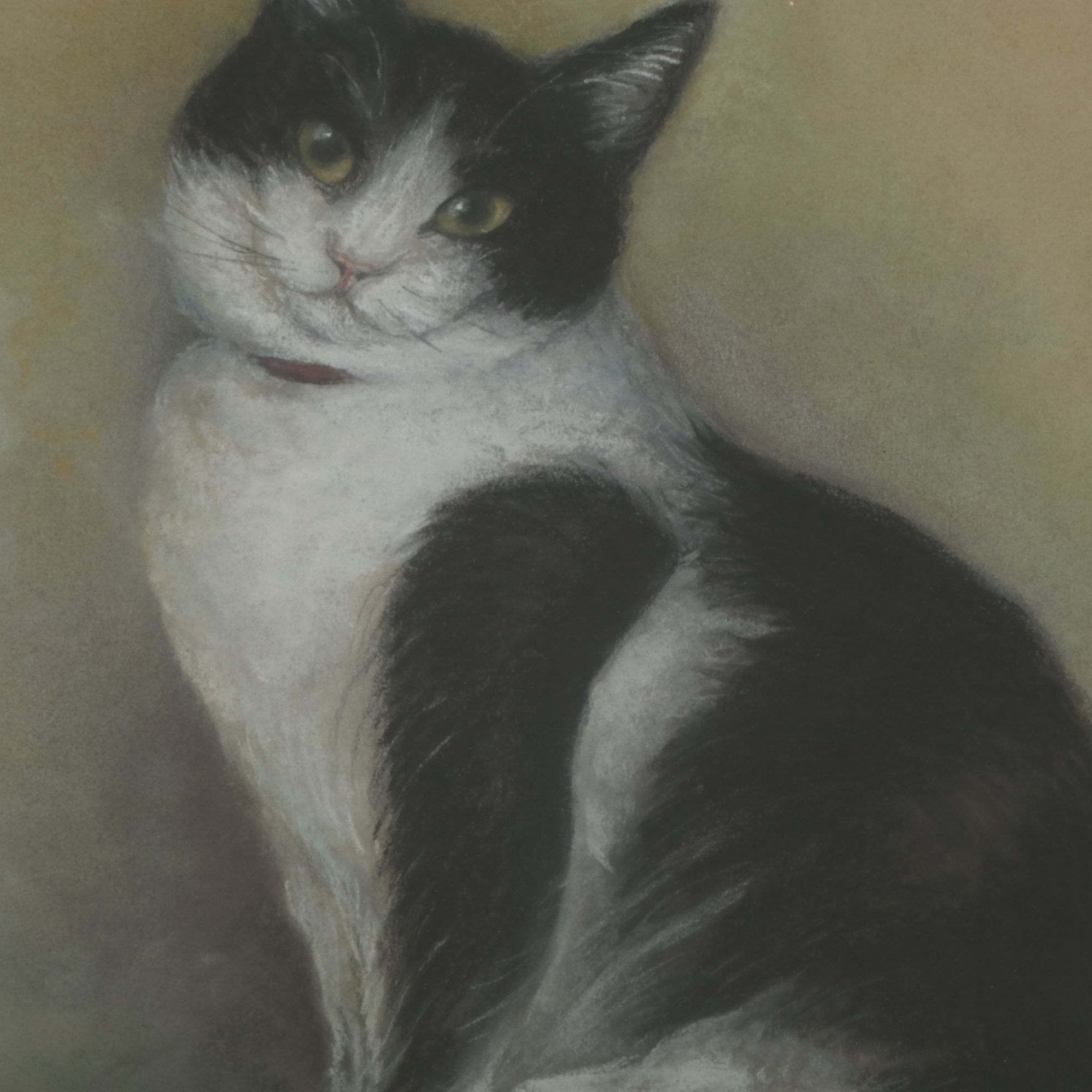 Realistic Charcoal and Pastel Portrait Drawing of a Seated Tuxedo Cat, 1985