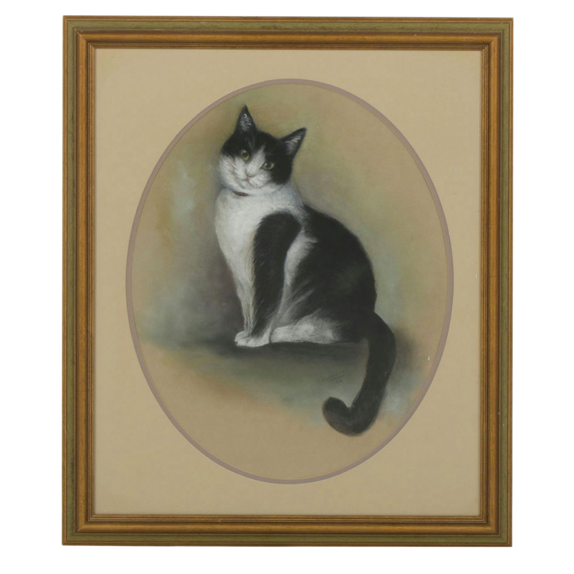 Realistic Charcoal and Pastel Portrait Drawing of a Seated Tuxedo Cat, 1985