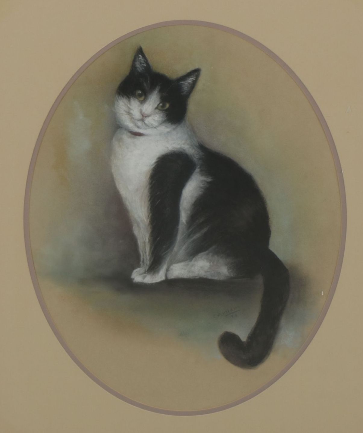 Realistic Charcoal and Pastel Portrait Drawing of a Seated Tuxedo Cat, 1985