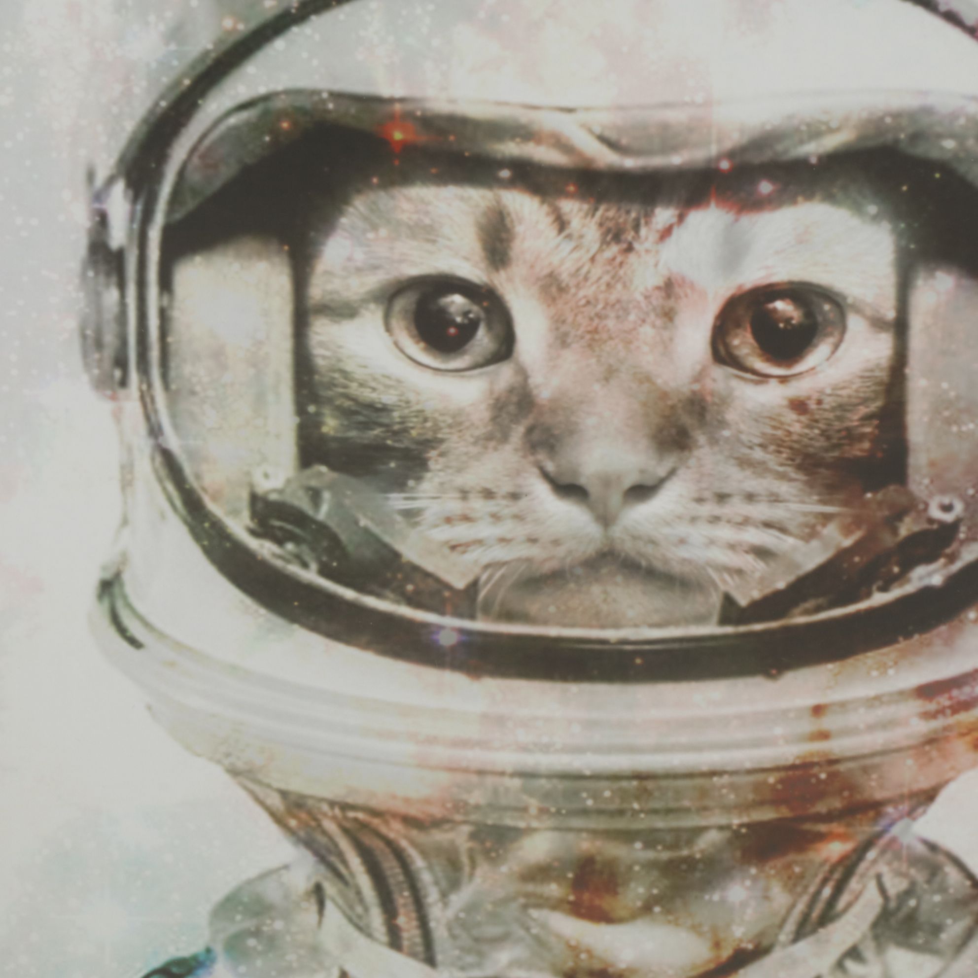 Giclee Print of Anthropomorphized Cat in Astronaut Suit, Early 21st Century
