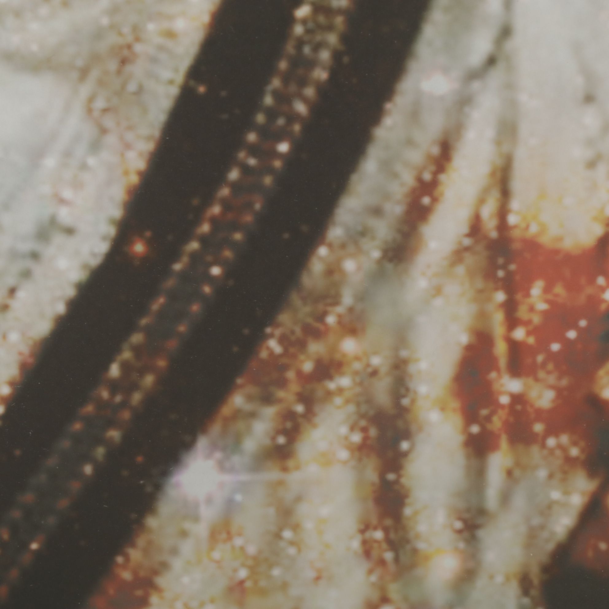 Giclee Print of Anthropomorphized Cat in Astronaut Suit, Early 21st Century