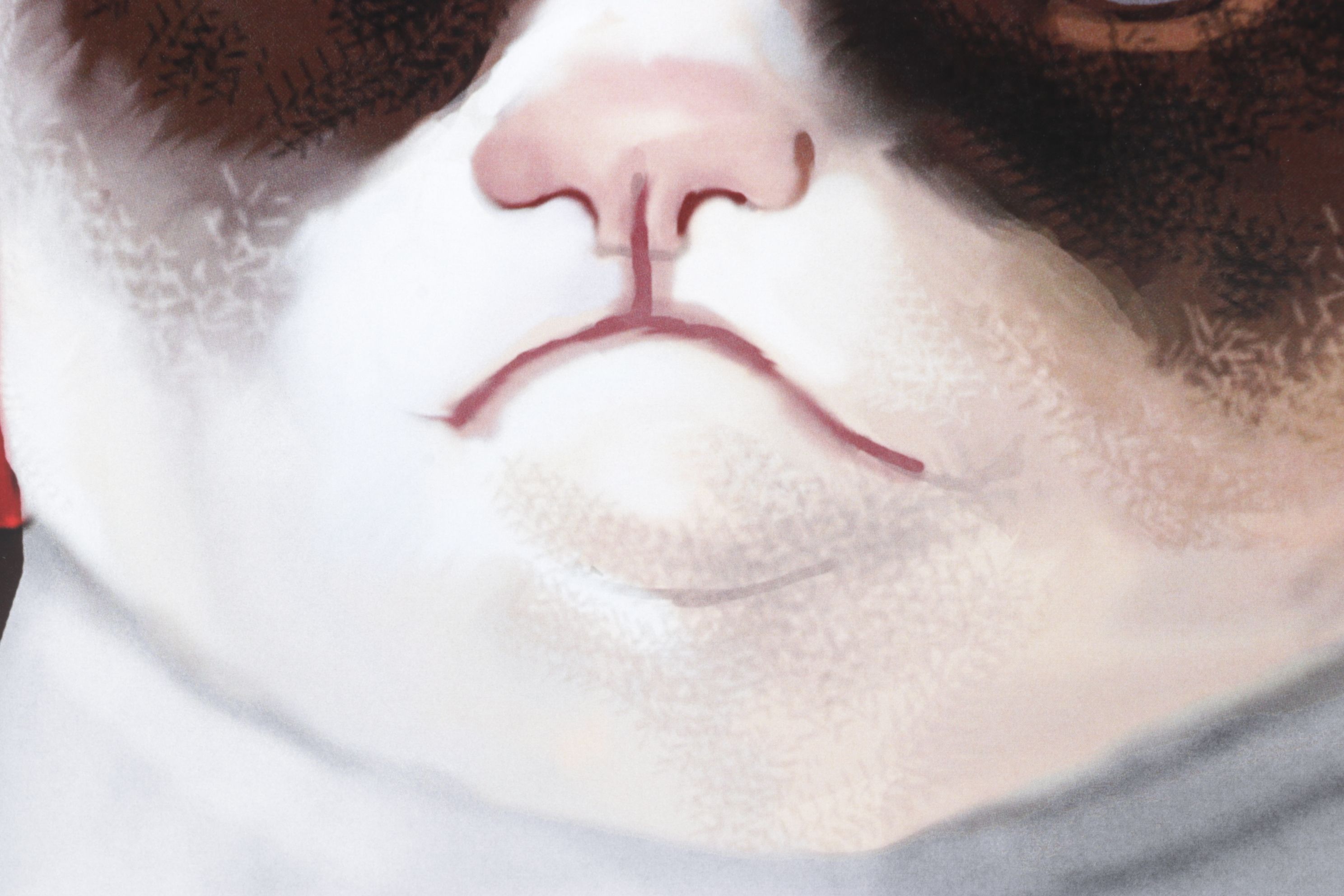 Digital Portrait Painting of Grumpy Cat Wearing a Winter Hat, Early 21st Century