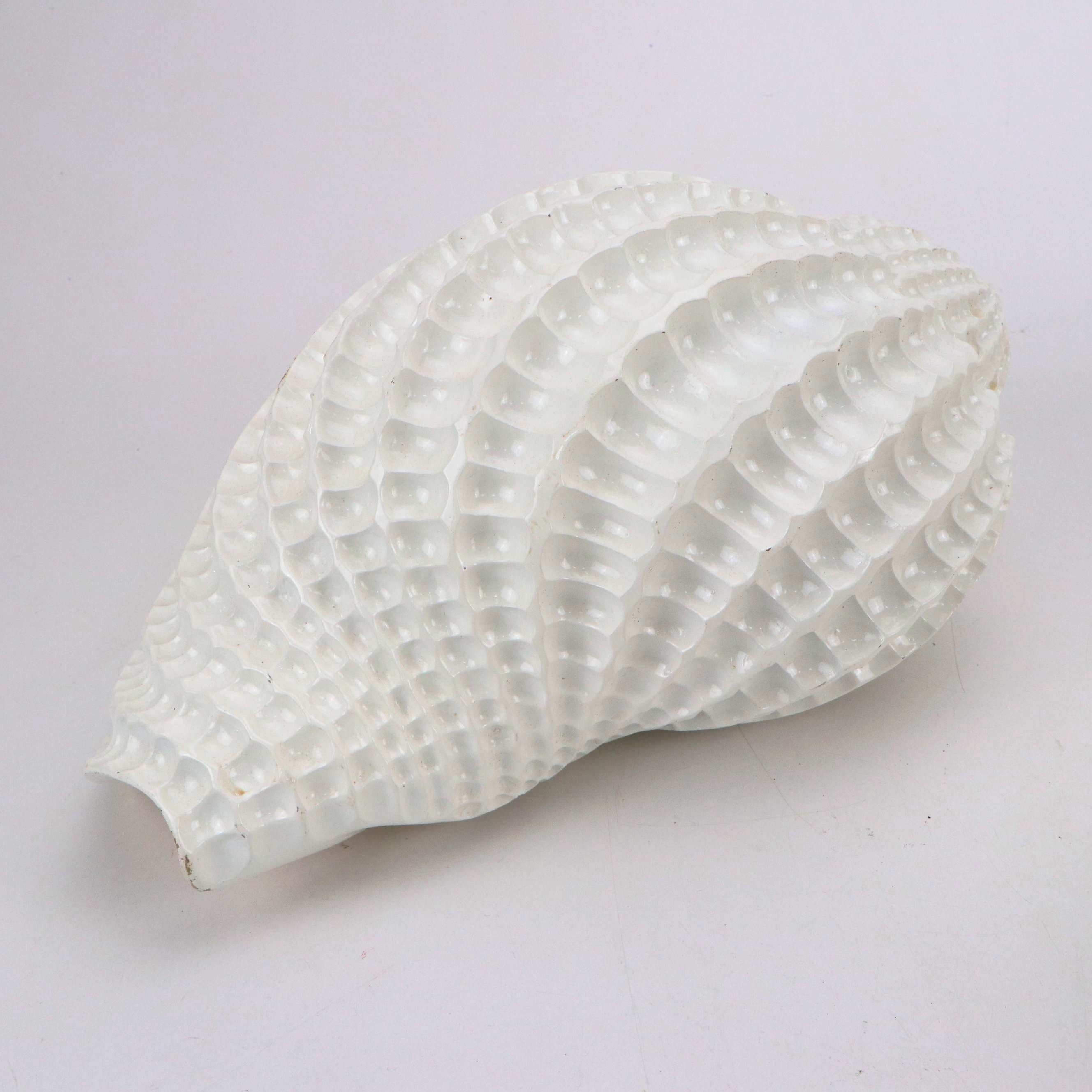 Bergschrund Crab Dip Bowl and Platter with Decorative Shell