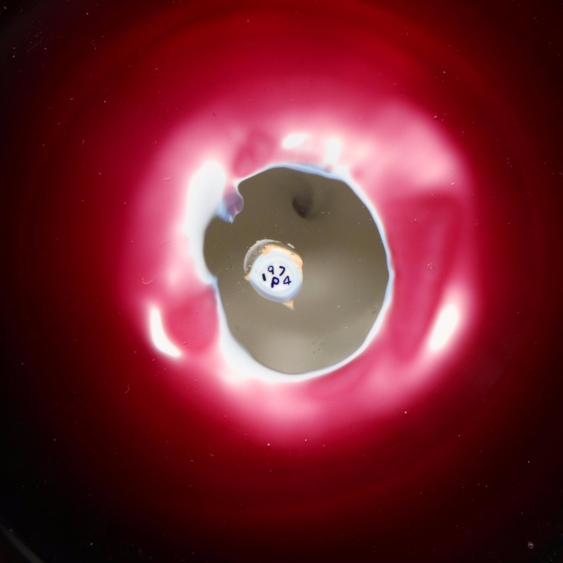 Perthshire Garland Flower Cane Glass Paperweight, 1974