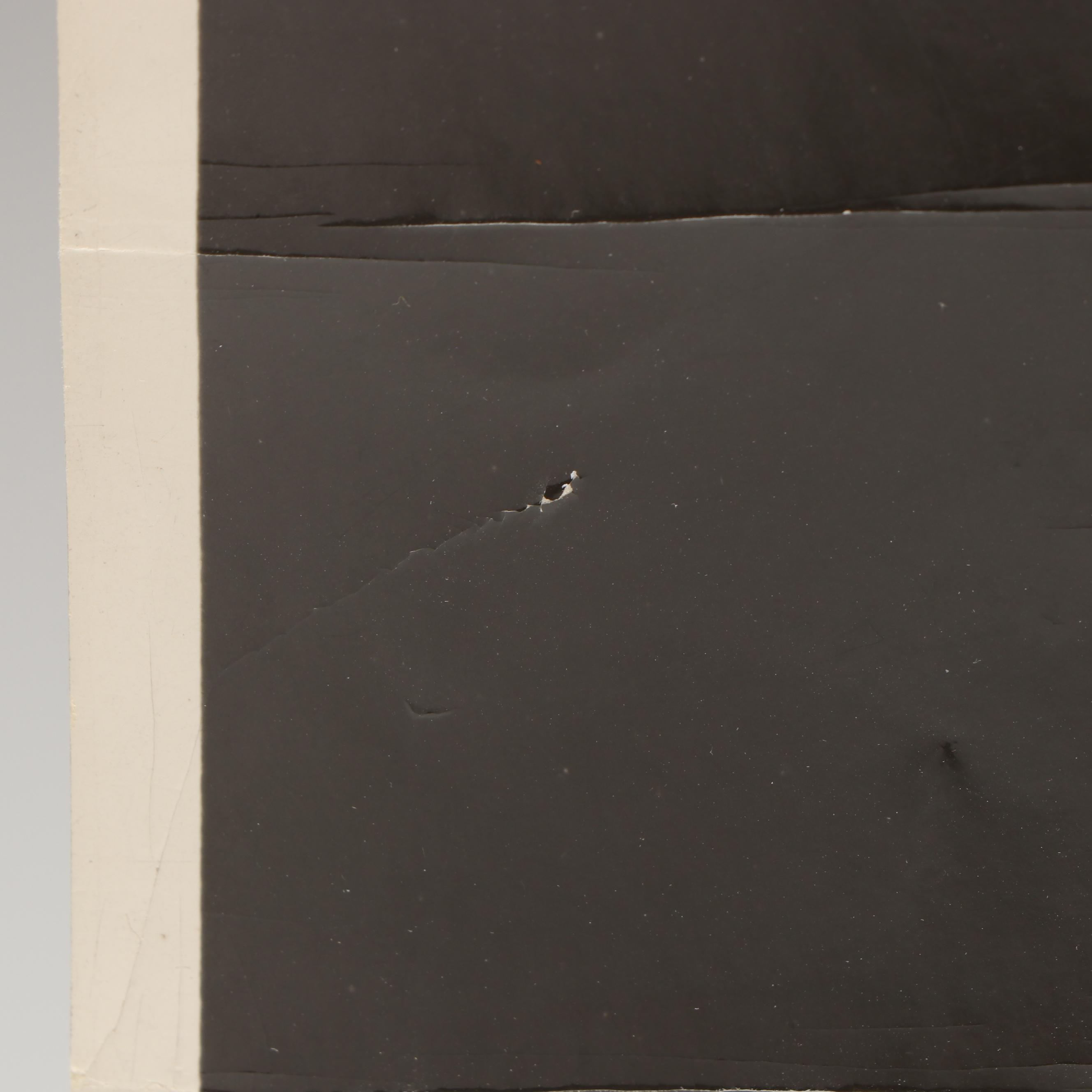 Silver Gelatin Print of Laughing Theodore Roosevelt