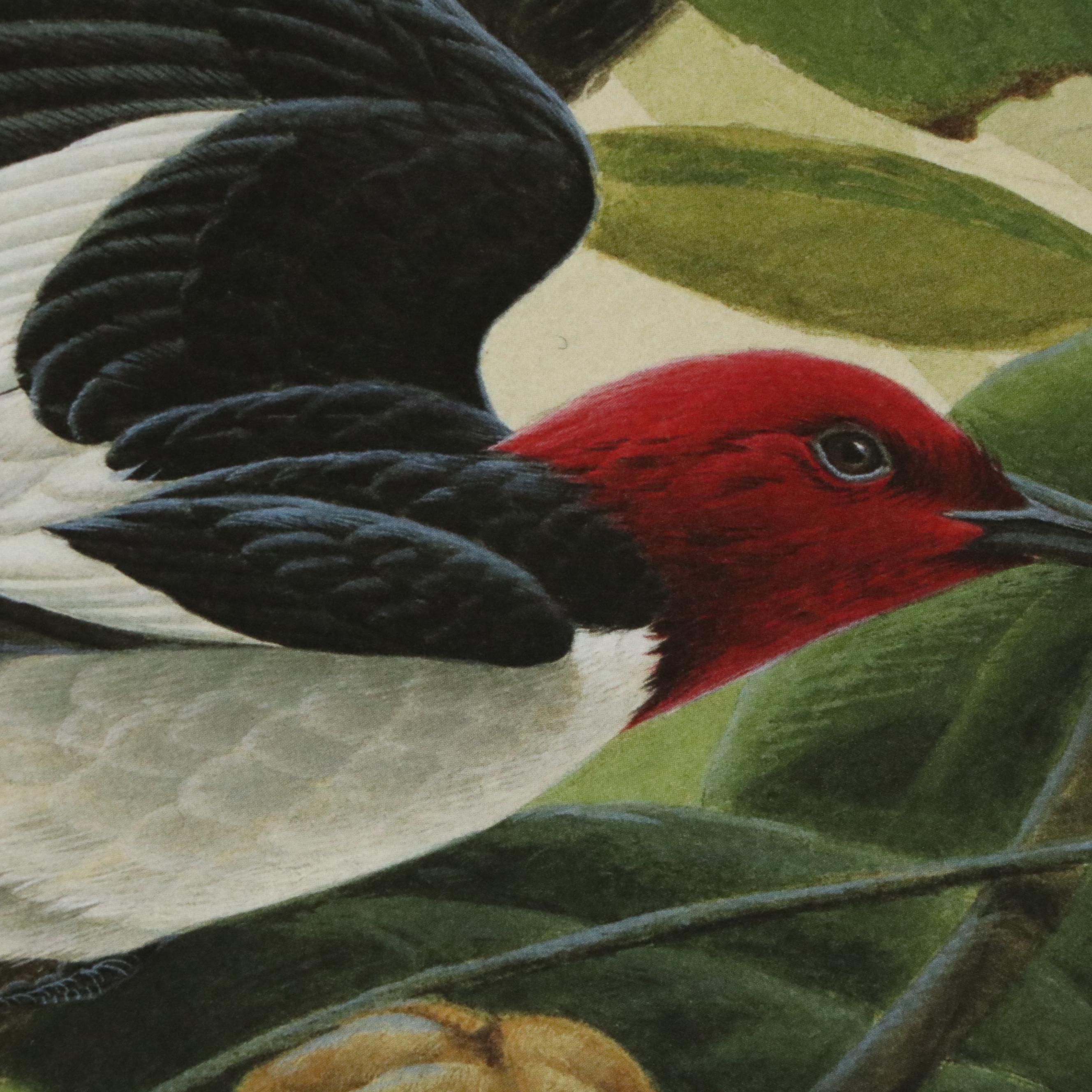 John A. Ruthven Offset "Red-Headed Woodpecker," 1991