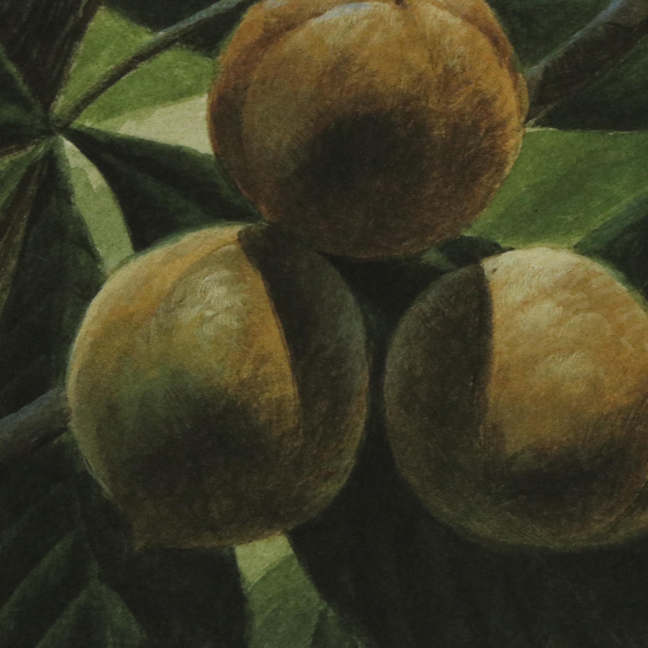 John A. Ruthven Offset "Red-Headed Woodpecker," 1991