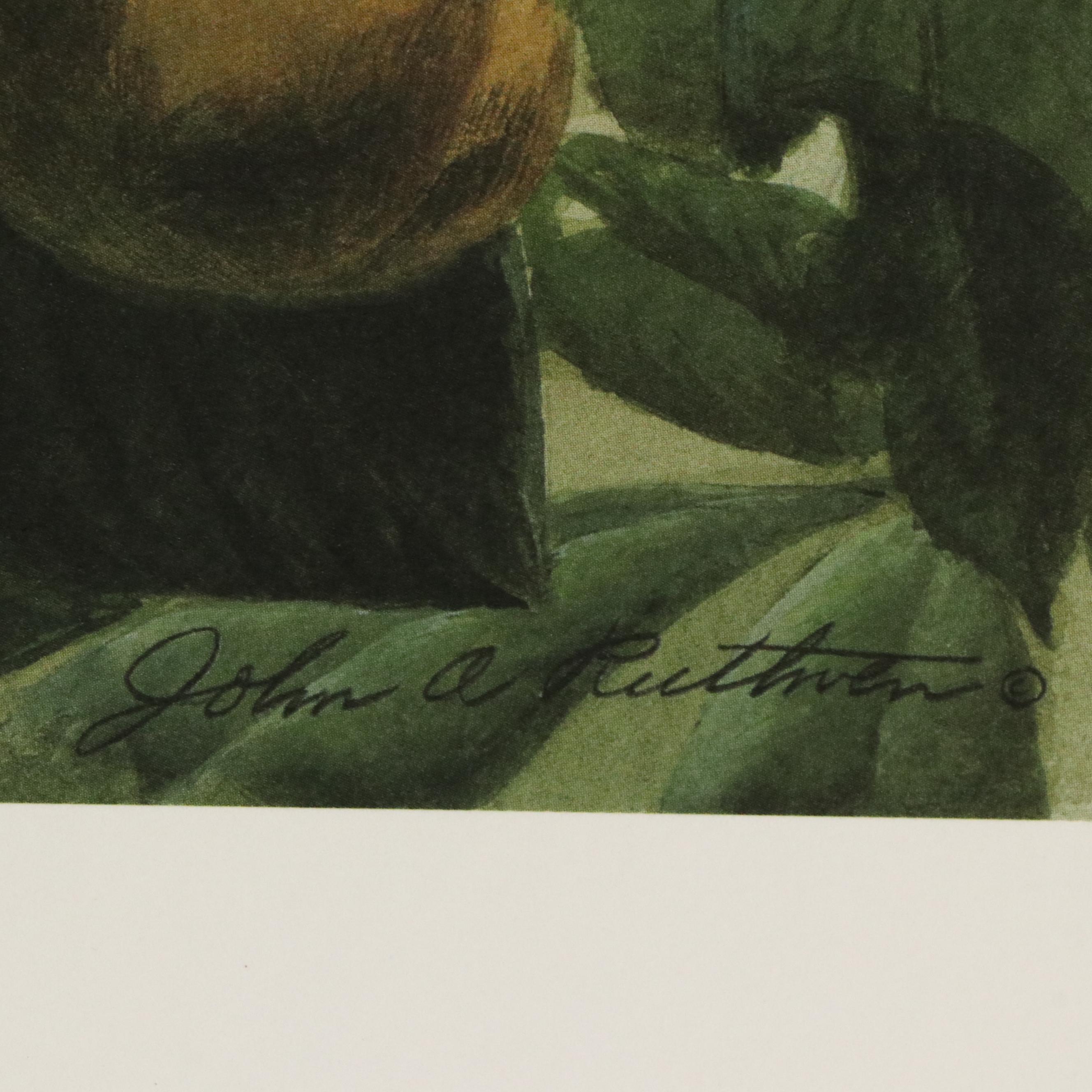 John A. Ruthven Offset "Red-Headed Woodpecker," 1991